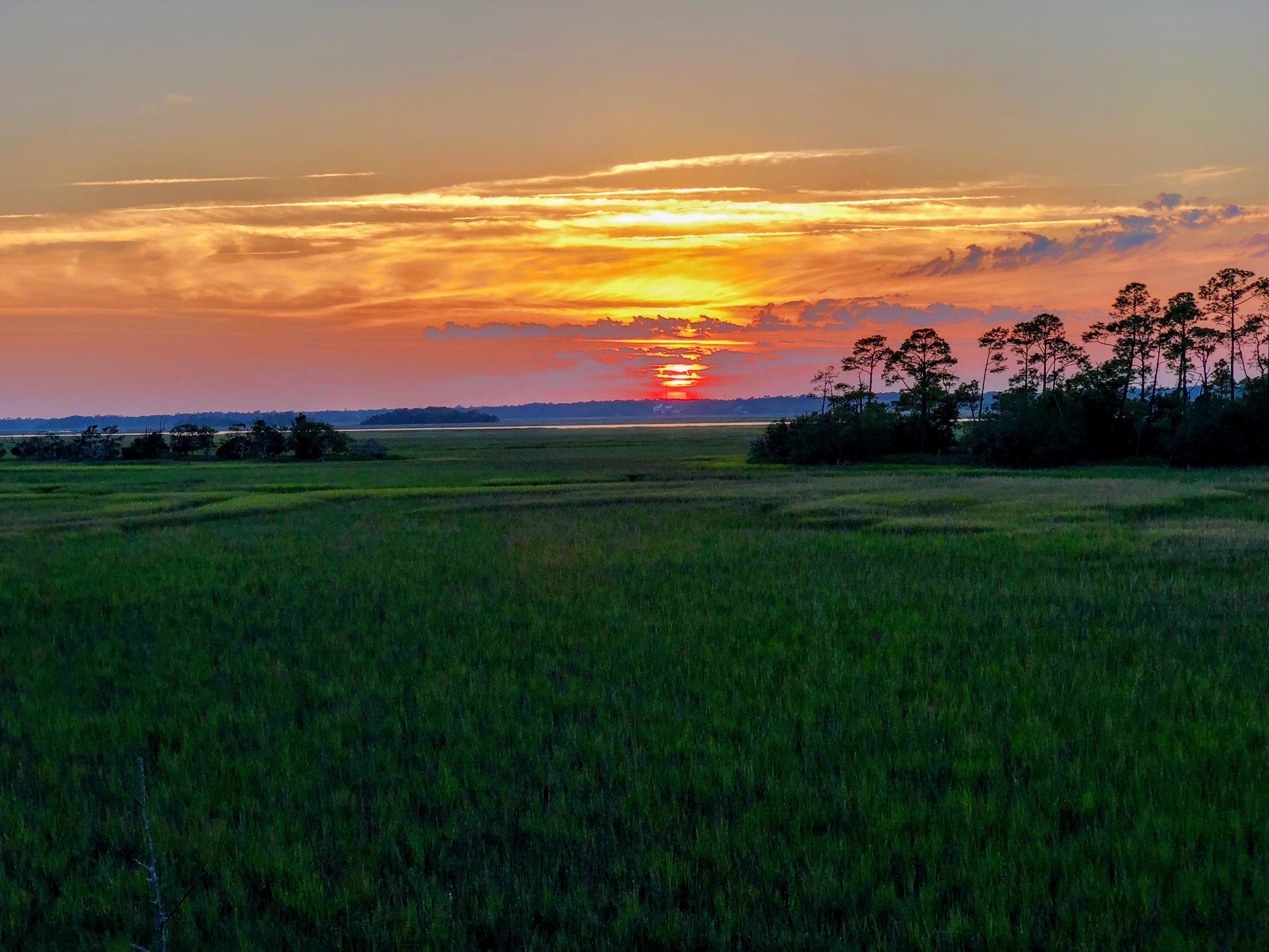 64 best Kiawah Island images on Pholder Golf, Reptiles and Whatsthisplant