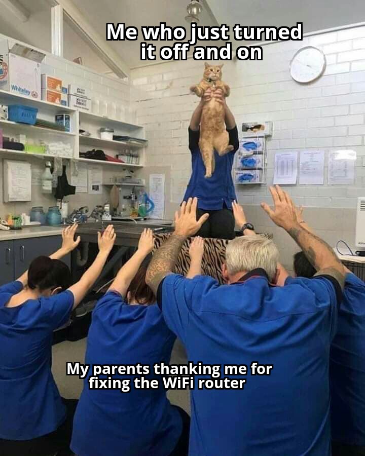 The Mechanic r/memes