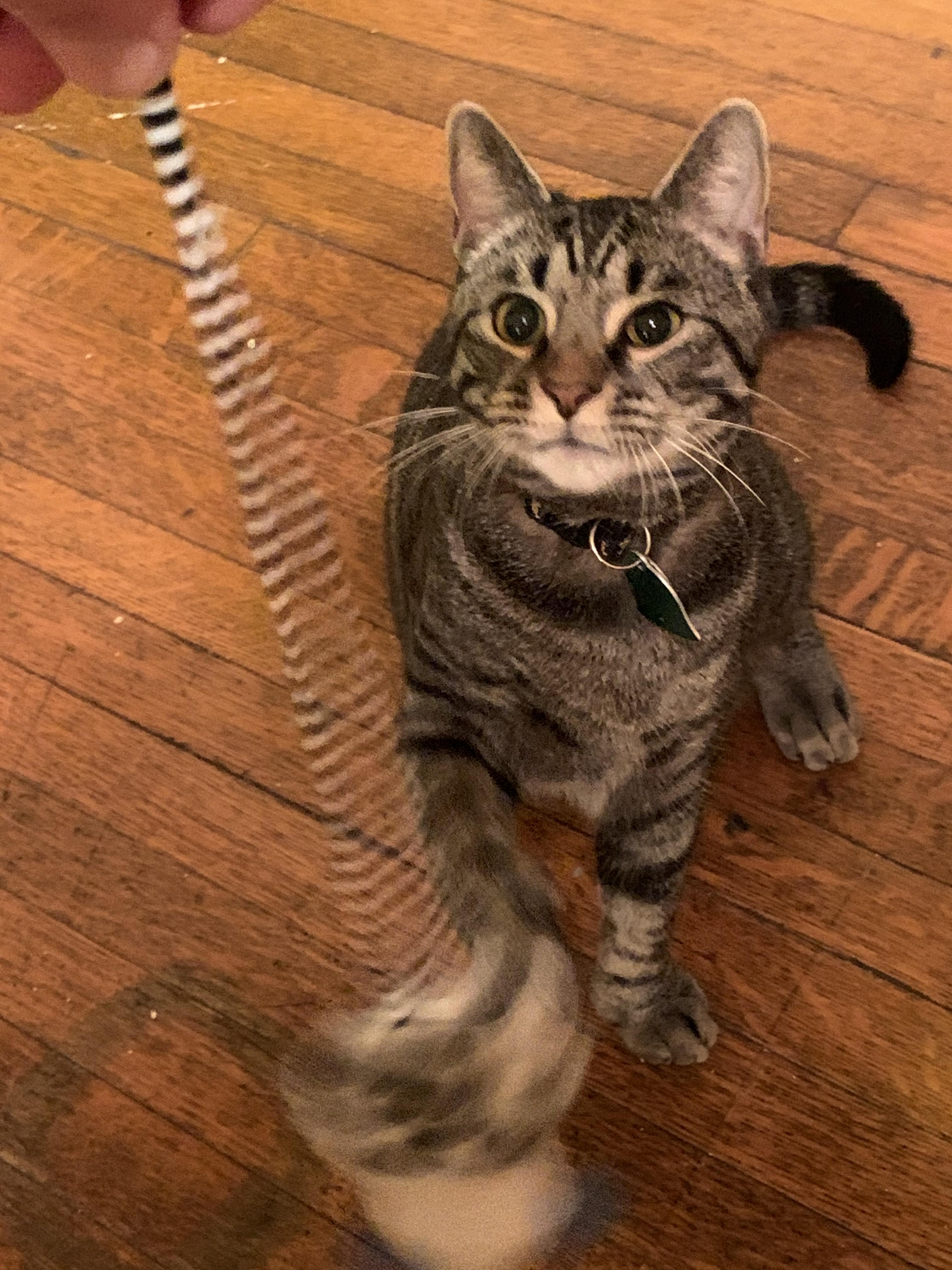 [Thanks] the surprise from u/PreciousLove82 for the contest is greatly
