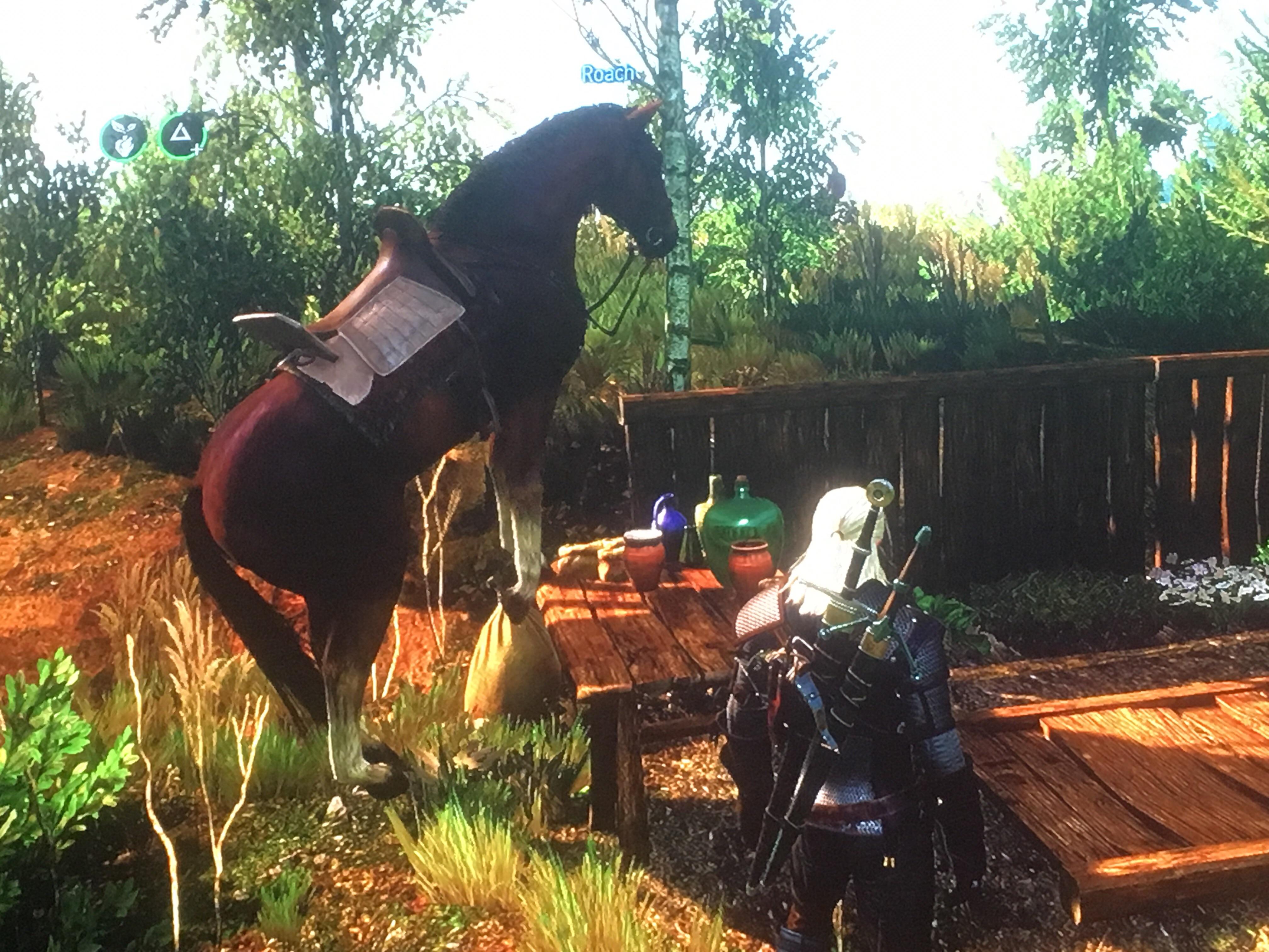 Why brew potions when Roach can do that too r/witcher