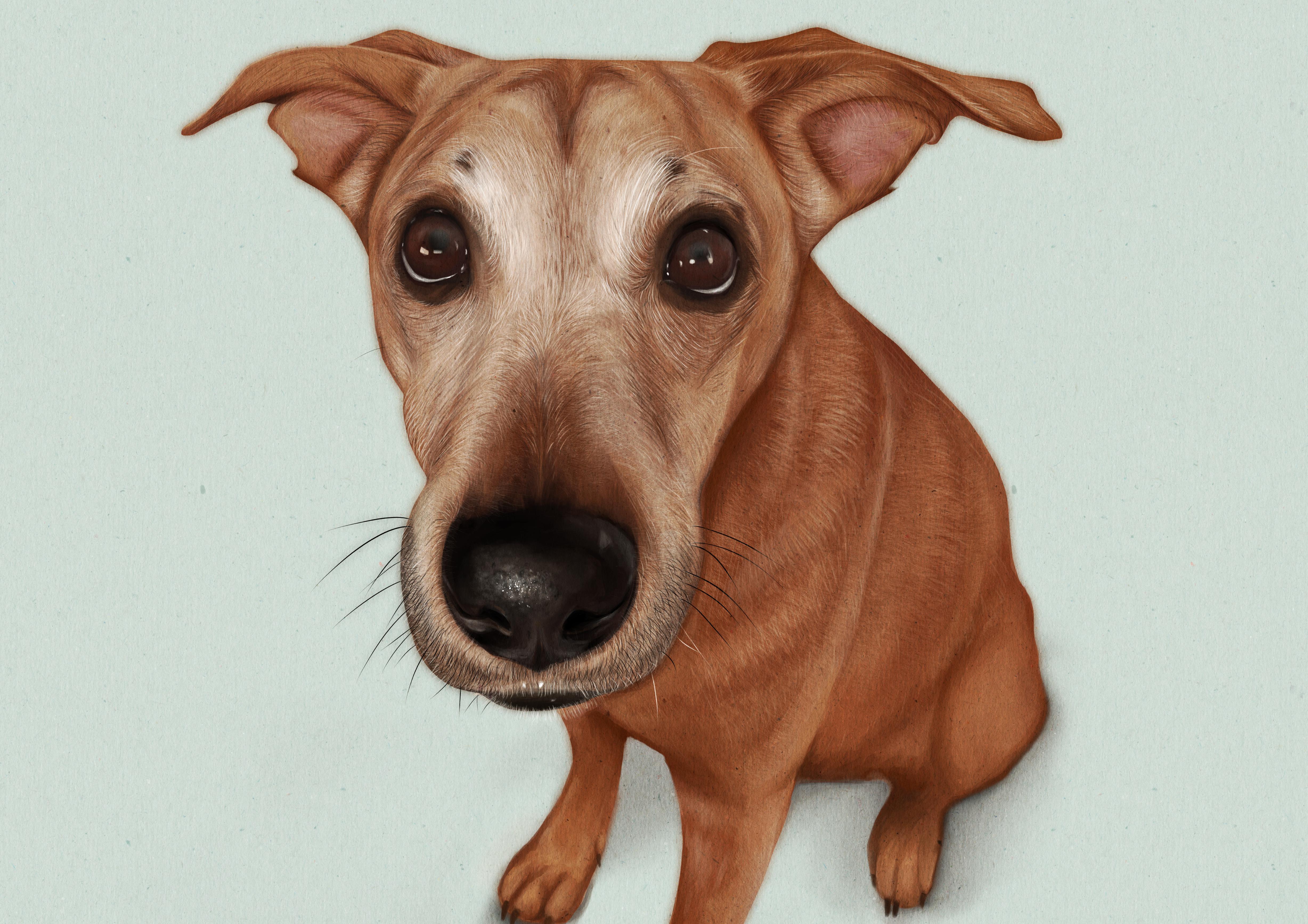 My boyfriend's dog by me Illustration