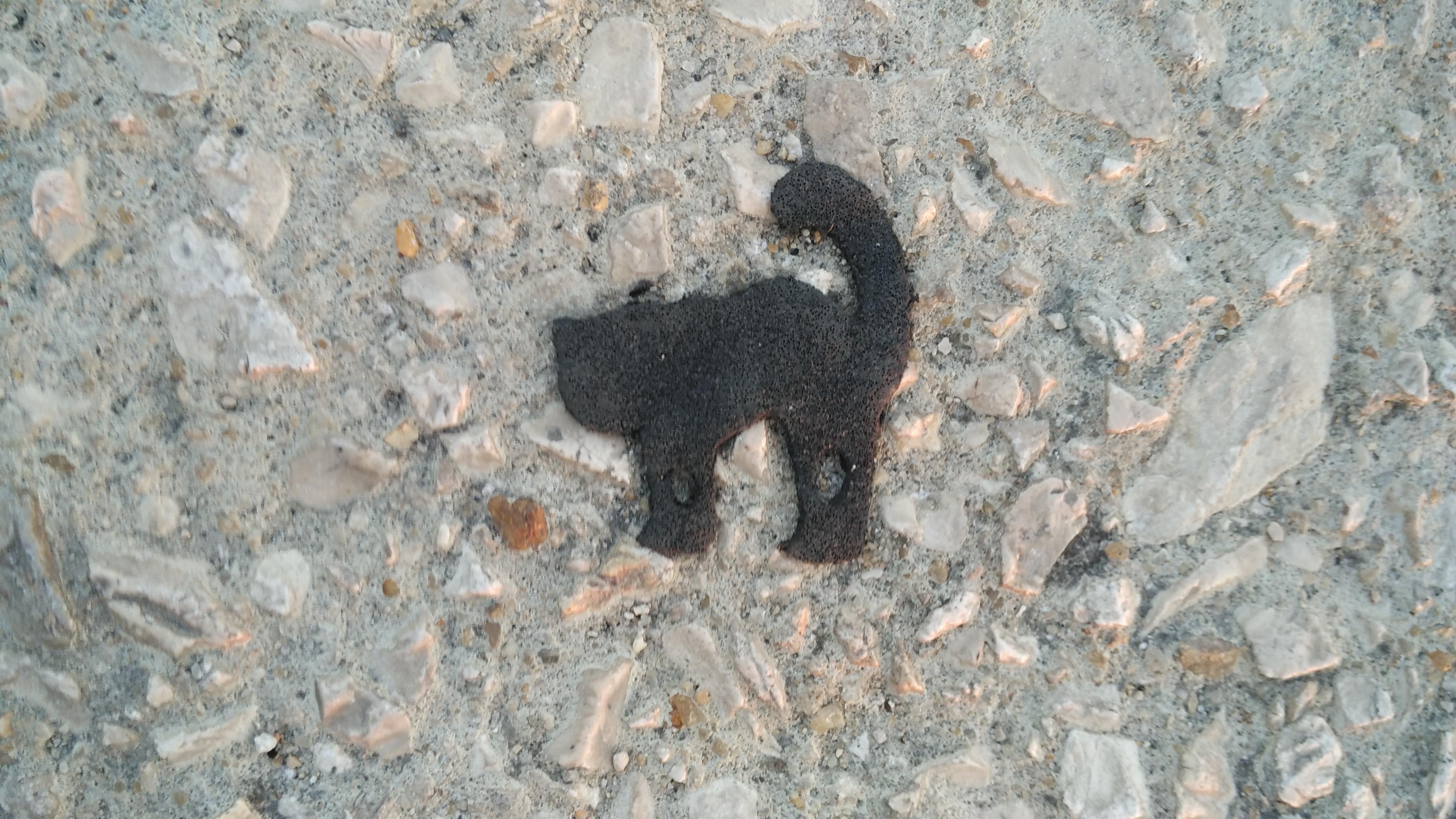 This old piece of chewing gum on concrete perfectly resembles a hissing