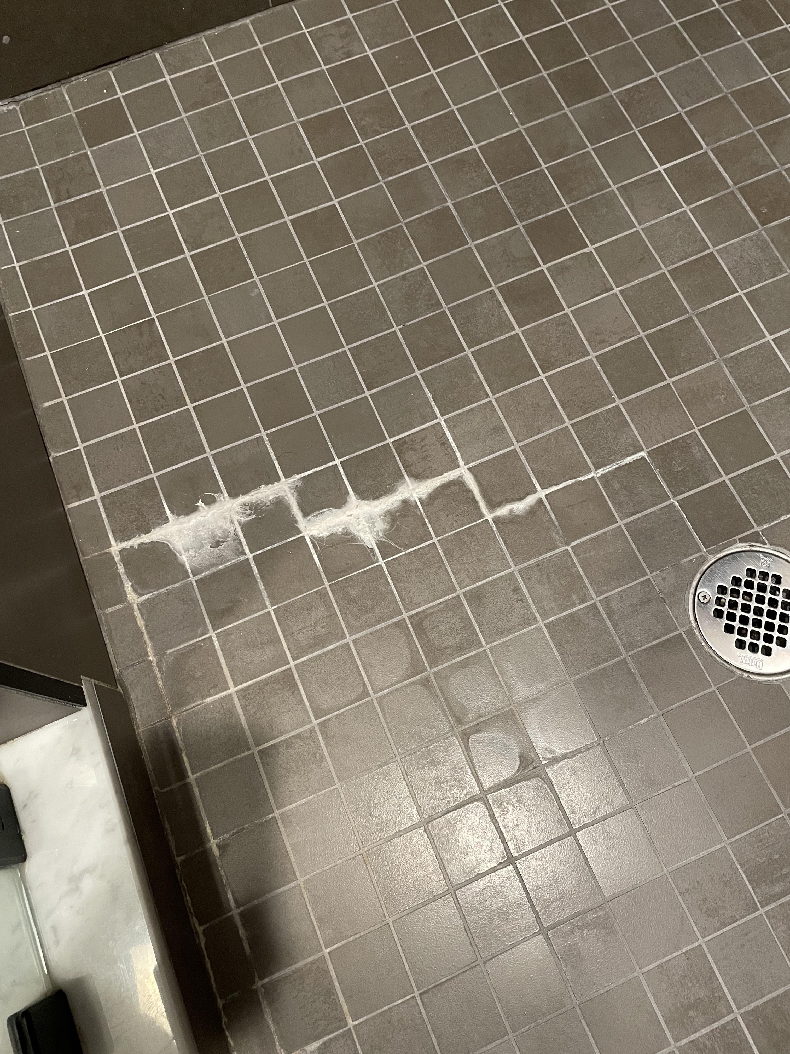 Noticed this in my shower. Not sure what it is or how to clean it. Help