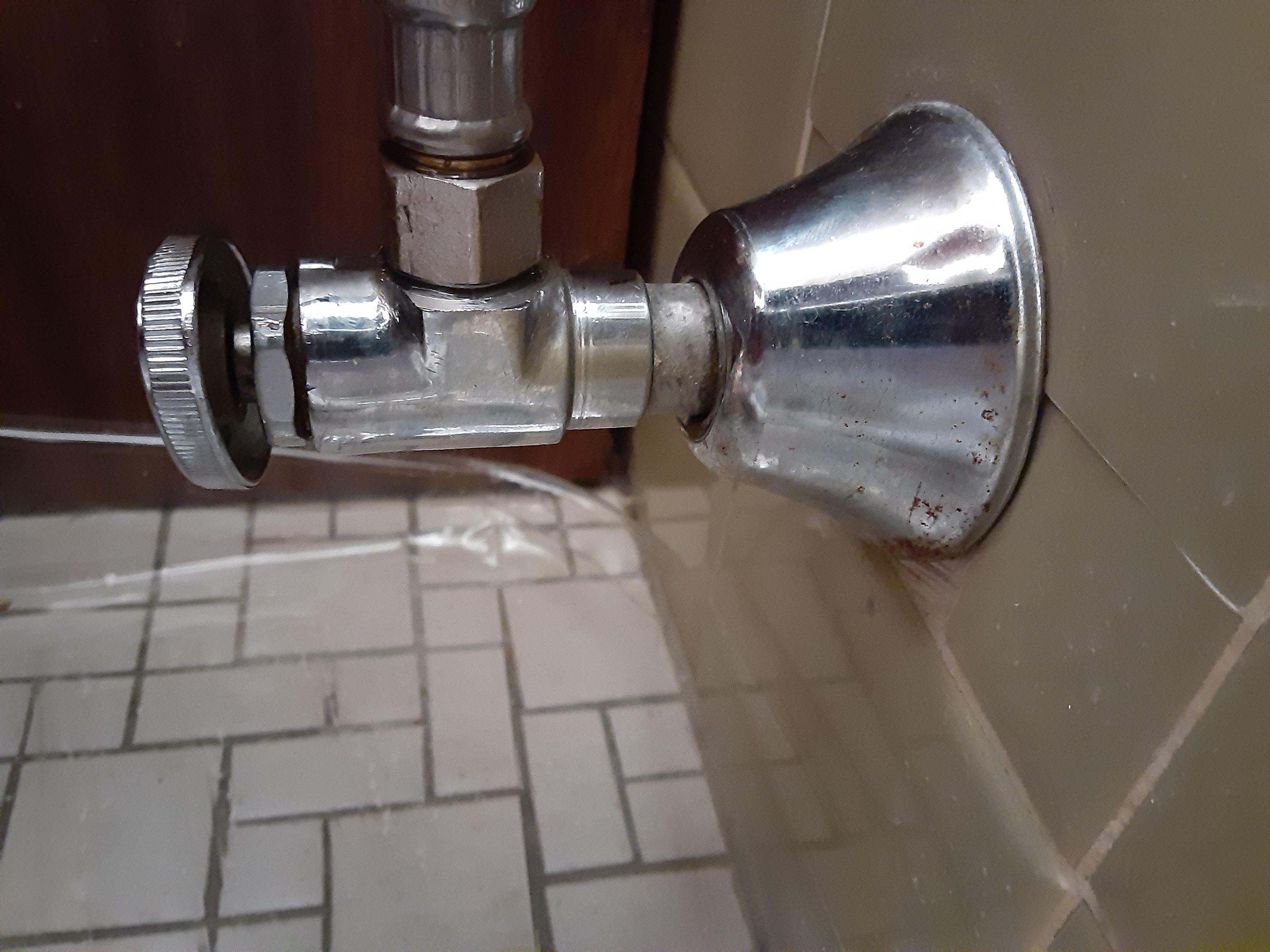 What kind of water shut off valve is this? I think it needs replacement