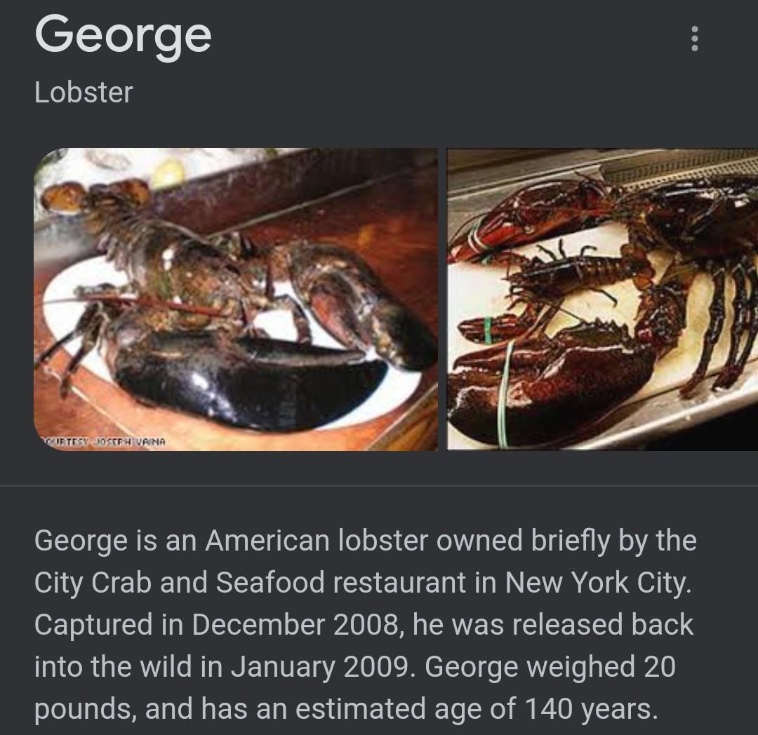 this absolute unite if a lobster. apparently lobsters dont show any