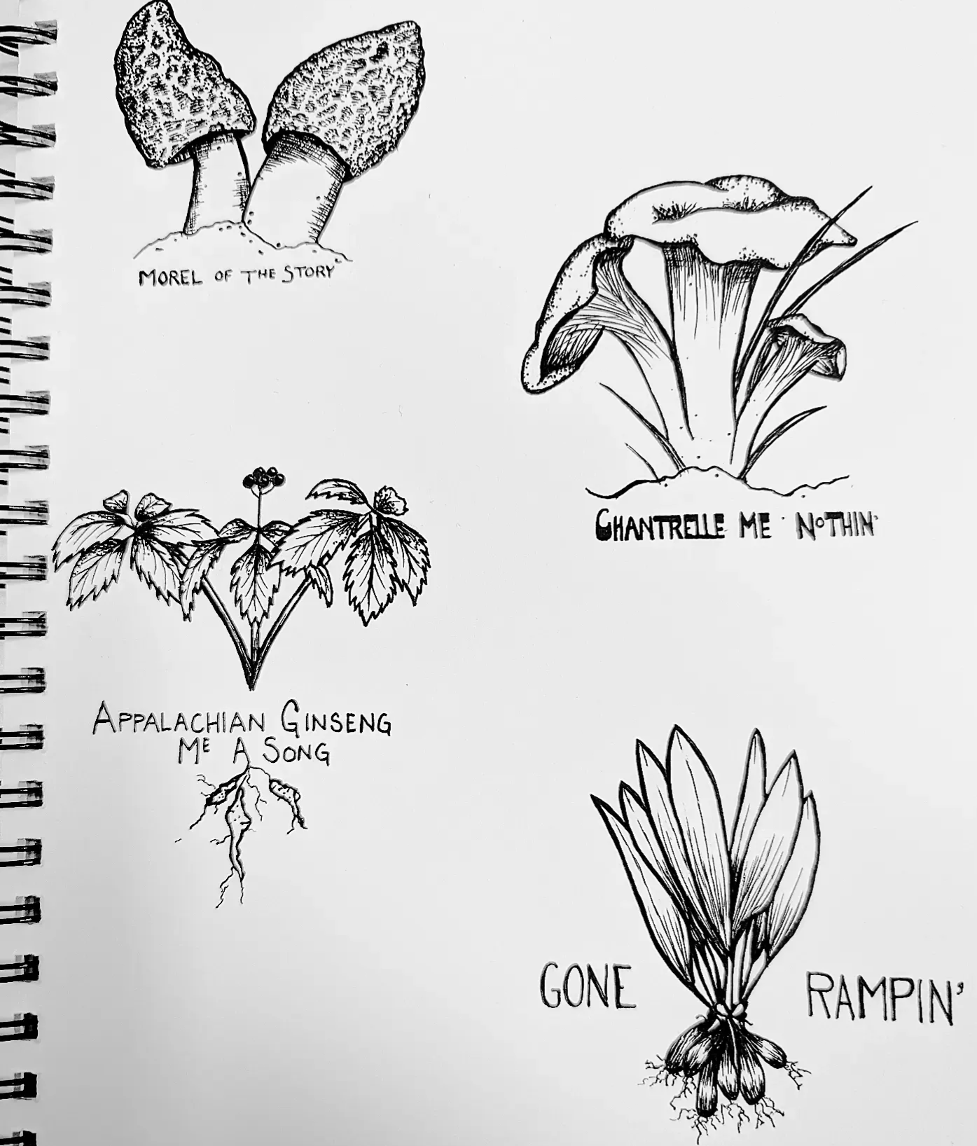 A Millennial Granola DadJoke Field Guide r/BlackInkOnPaper