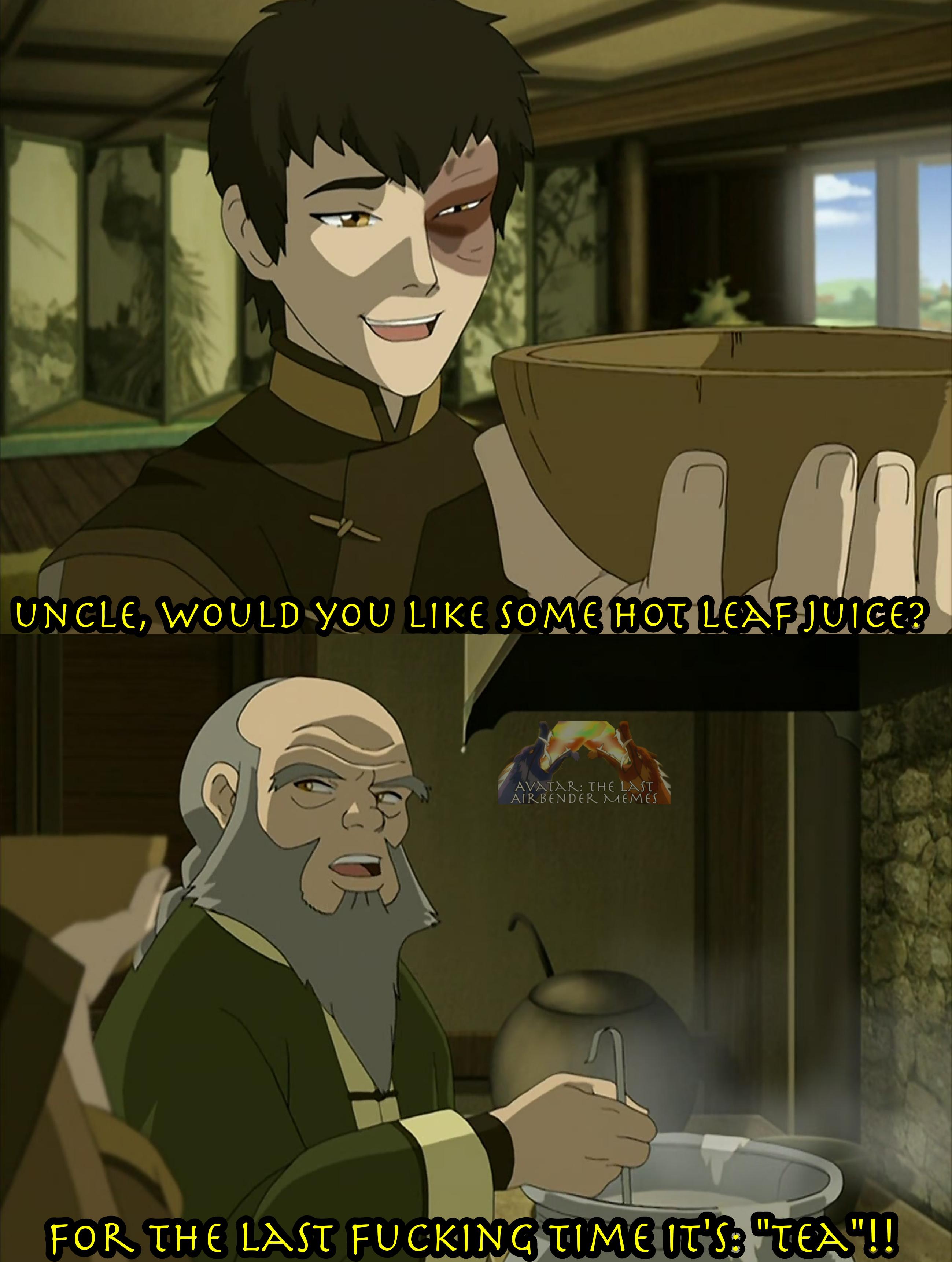 Hot leaf juice? r/AvatarMemebending
