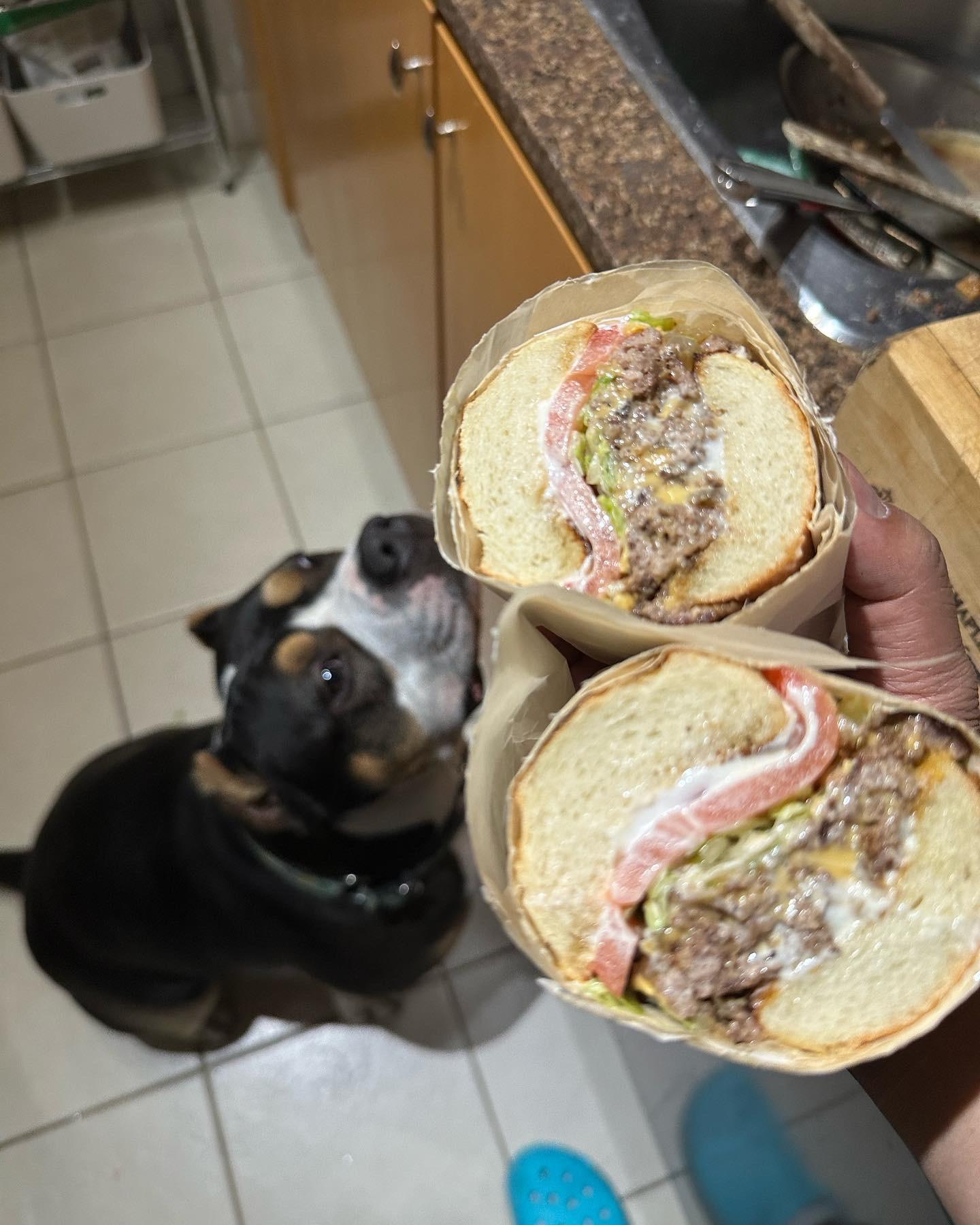 Best Chopped Cheese Posts Reddit