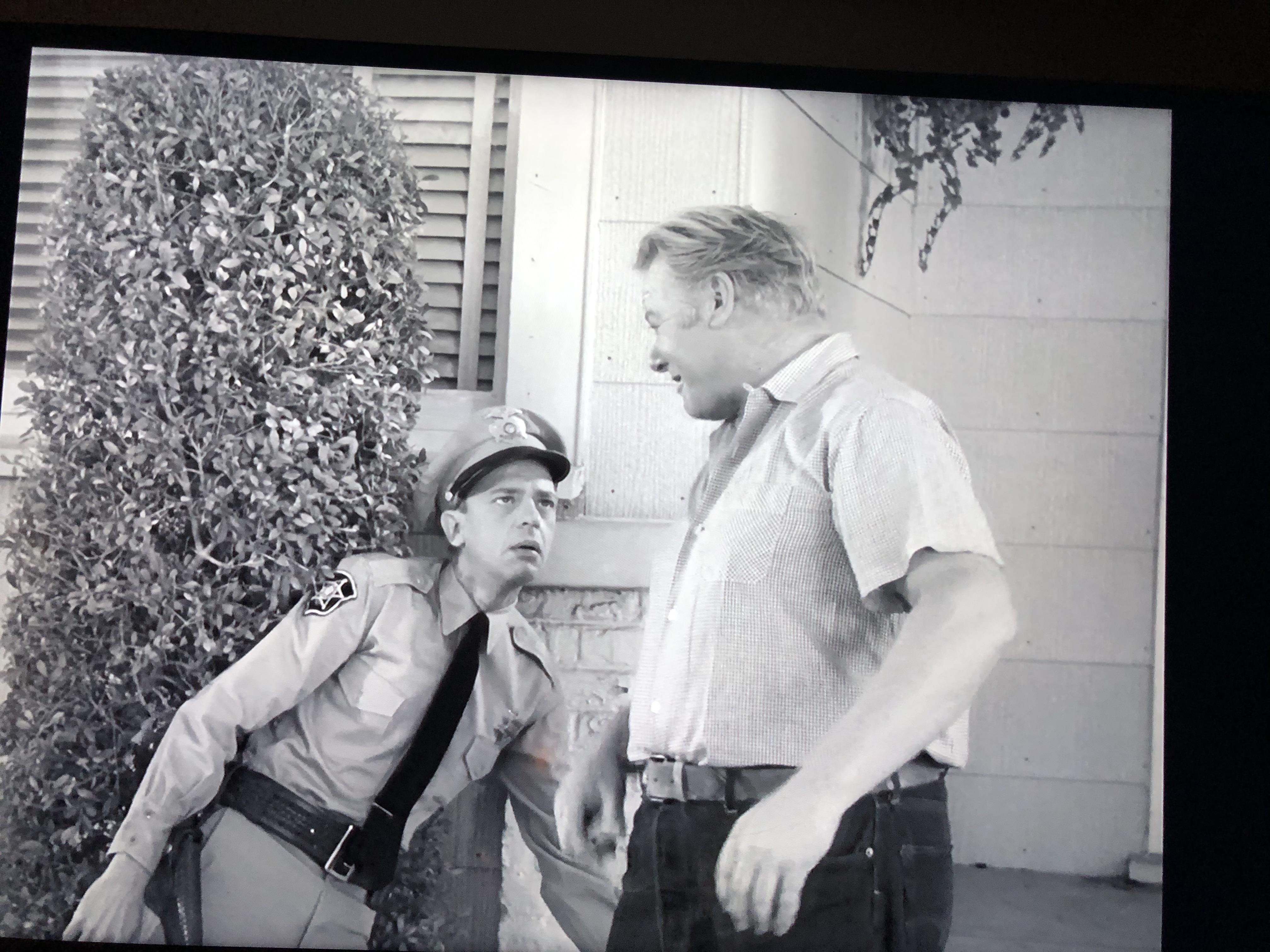 In season 2 episode 13 “The Farmer Takes a Wife” of the Andy Griffith Show, Alan Hale Jr. guest