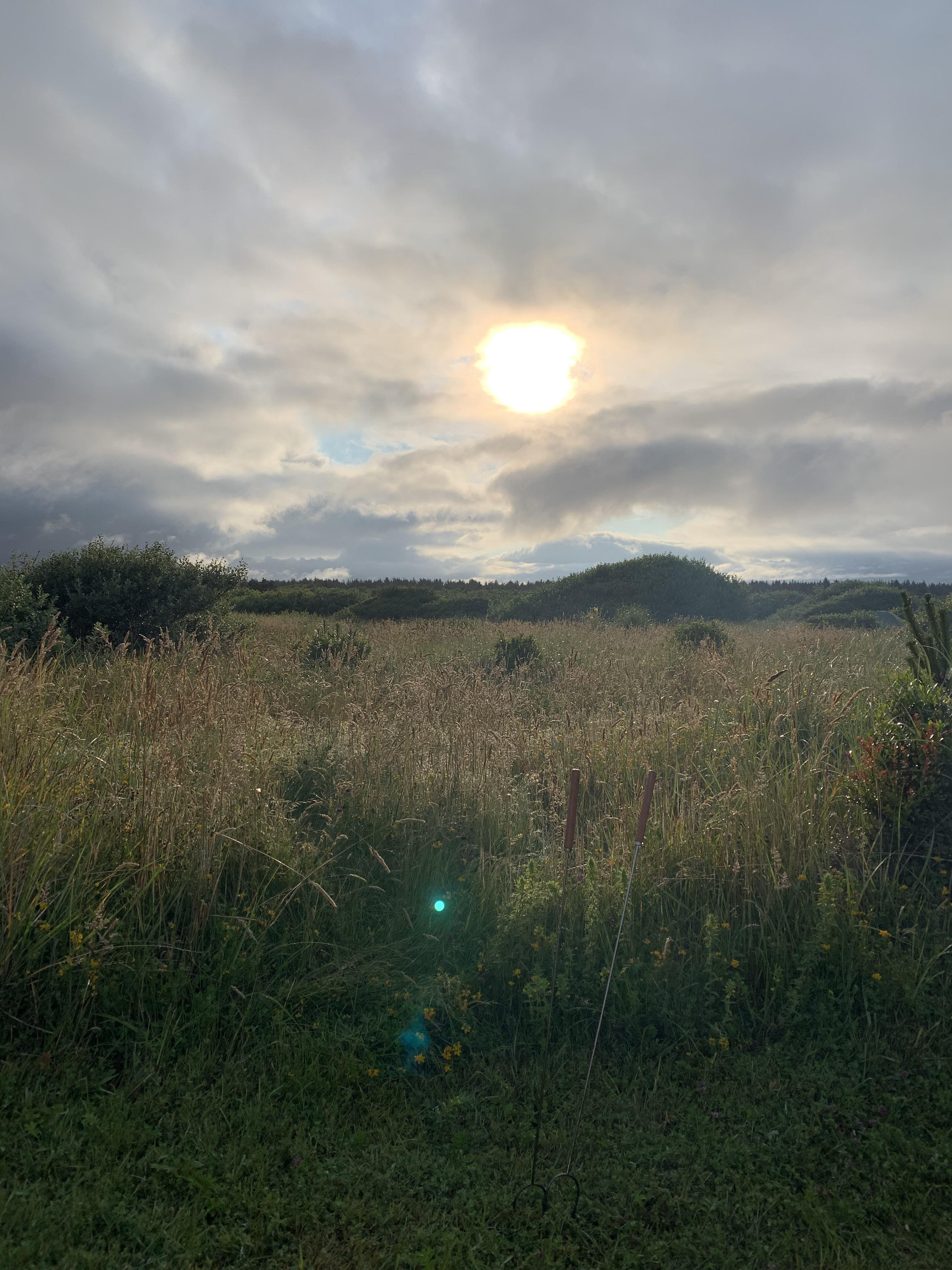 Ocean Shores, WA. Sunrise view from our tent r/camping