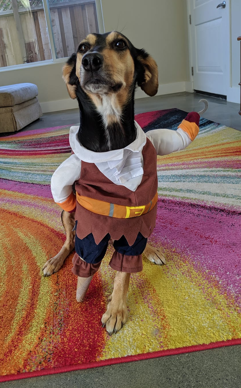 Online storebought outfit + tripod dog + homemade pegleg = costume