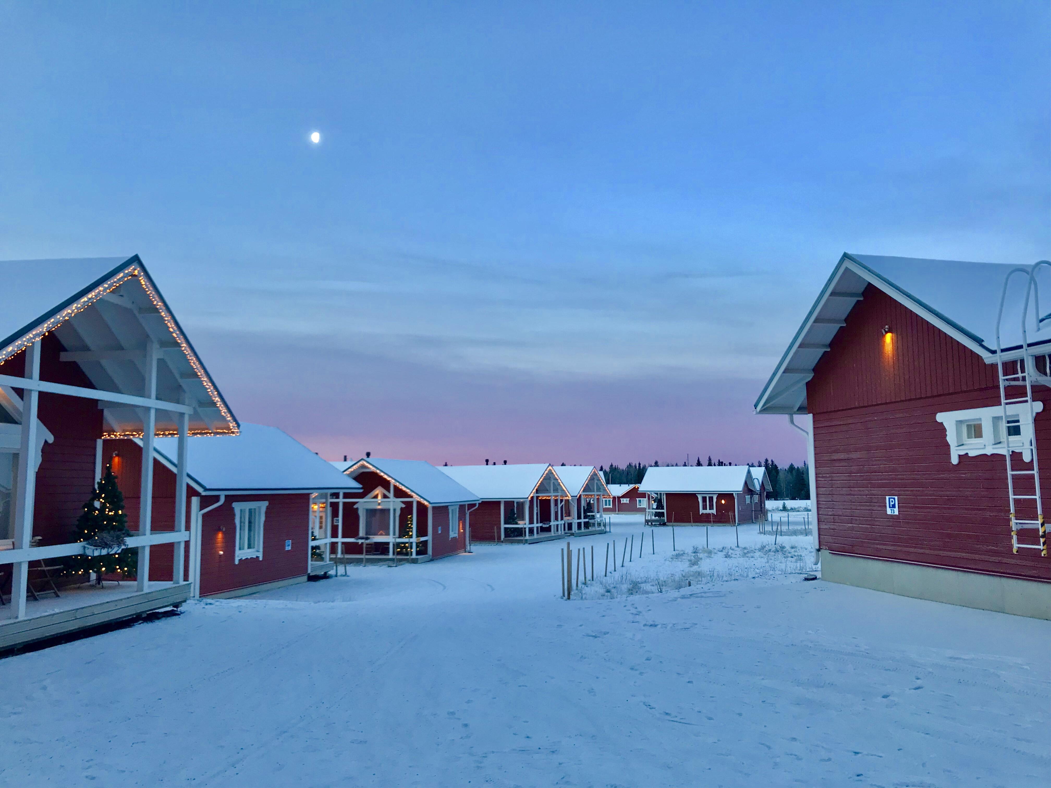 Finally got to visit Lapland and the scenery did not disappoint r/pics