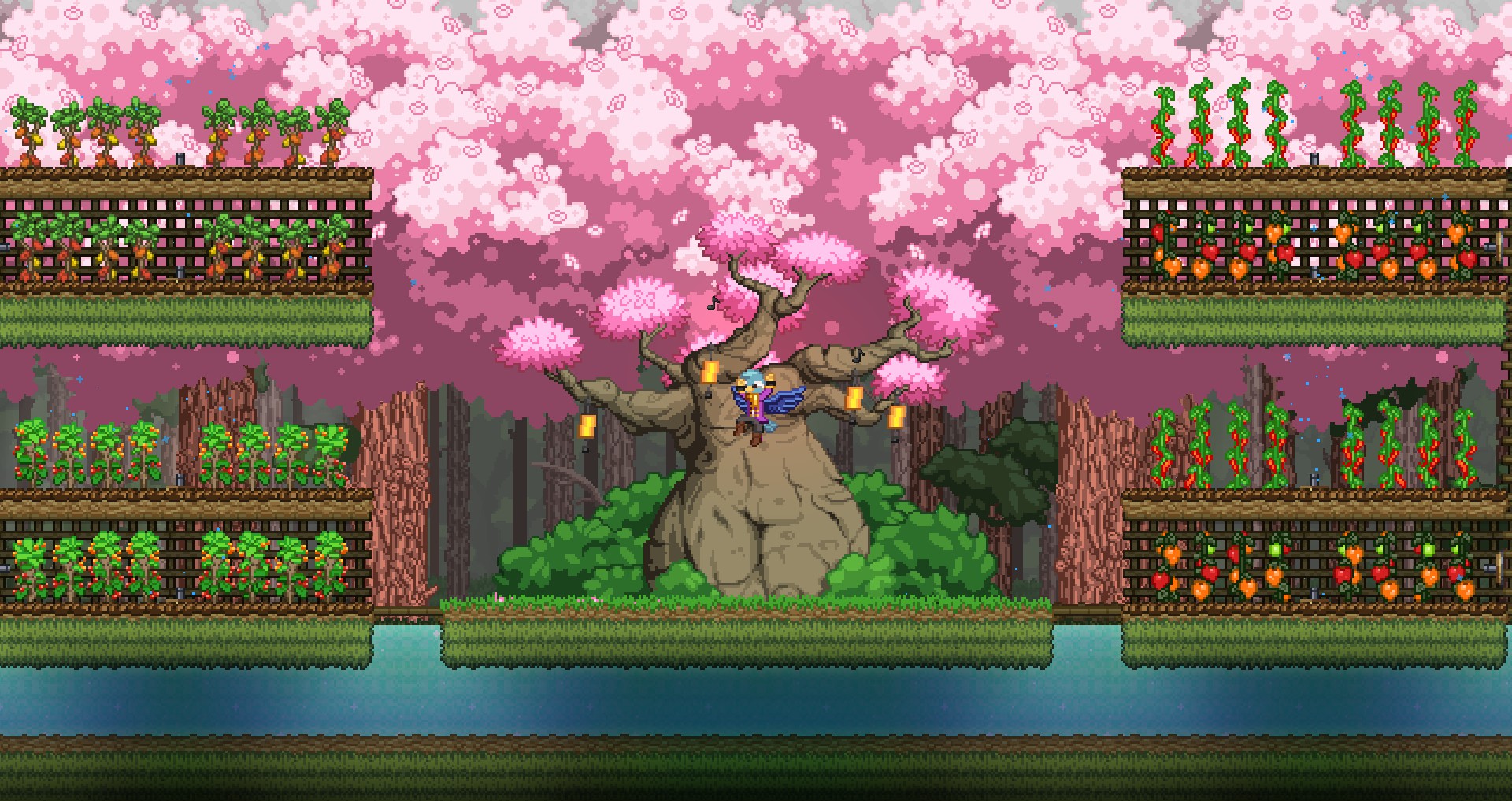 My orchard in the cherry blossom With a Protactorate Tree in