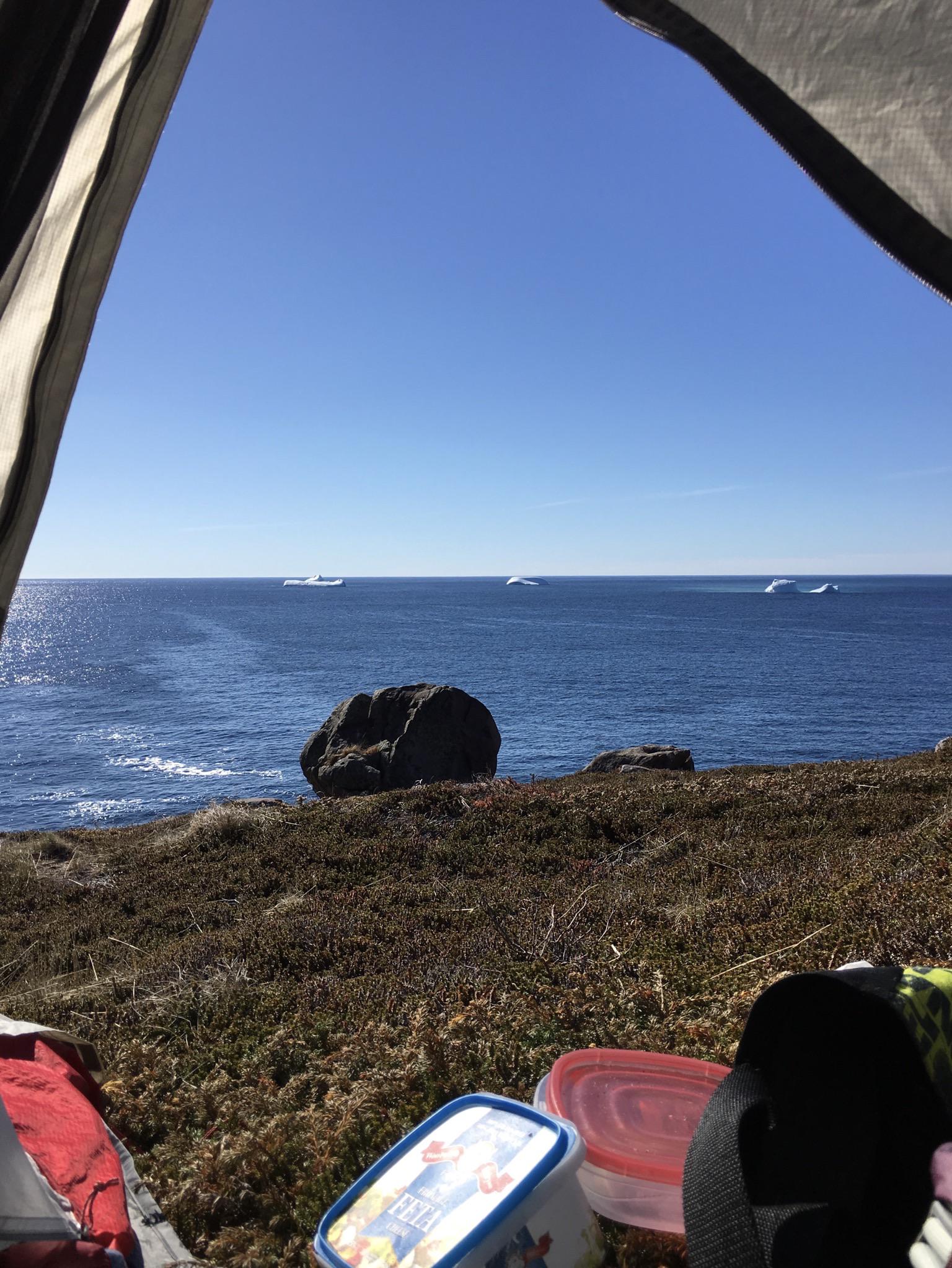 Greeted by three icebergs the morning after a night of