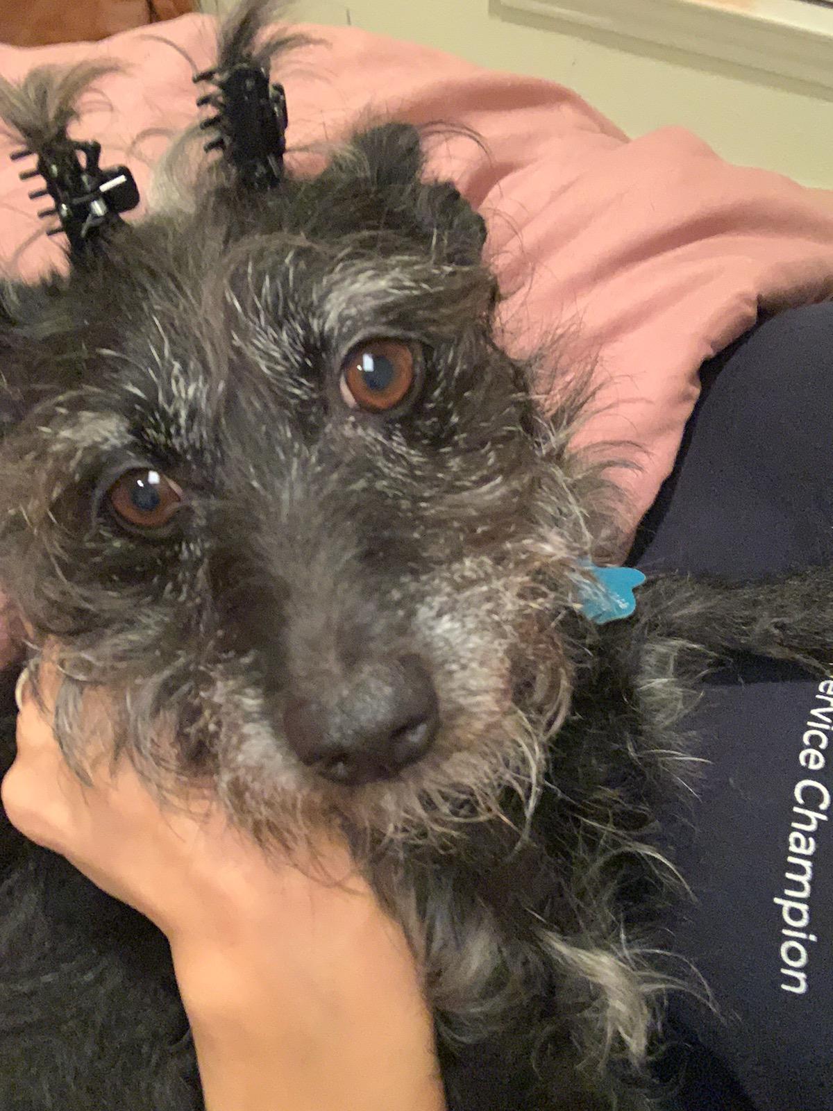 And I can put it in a bun aww