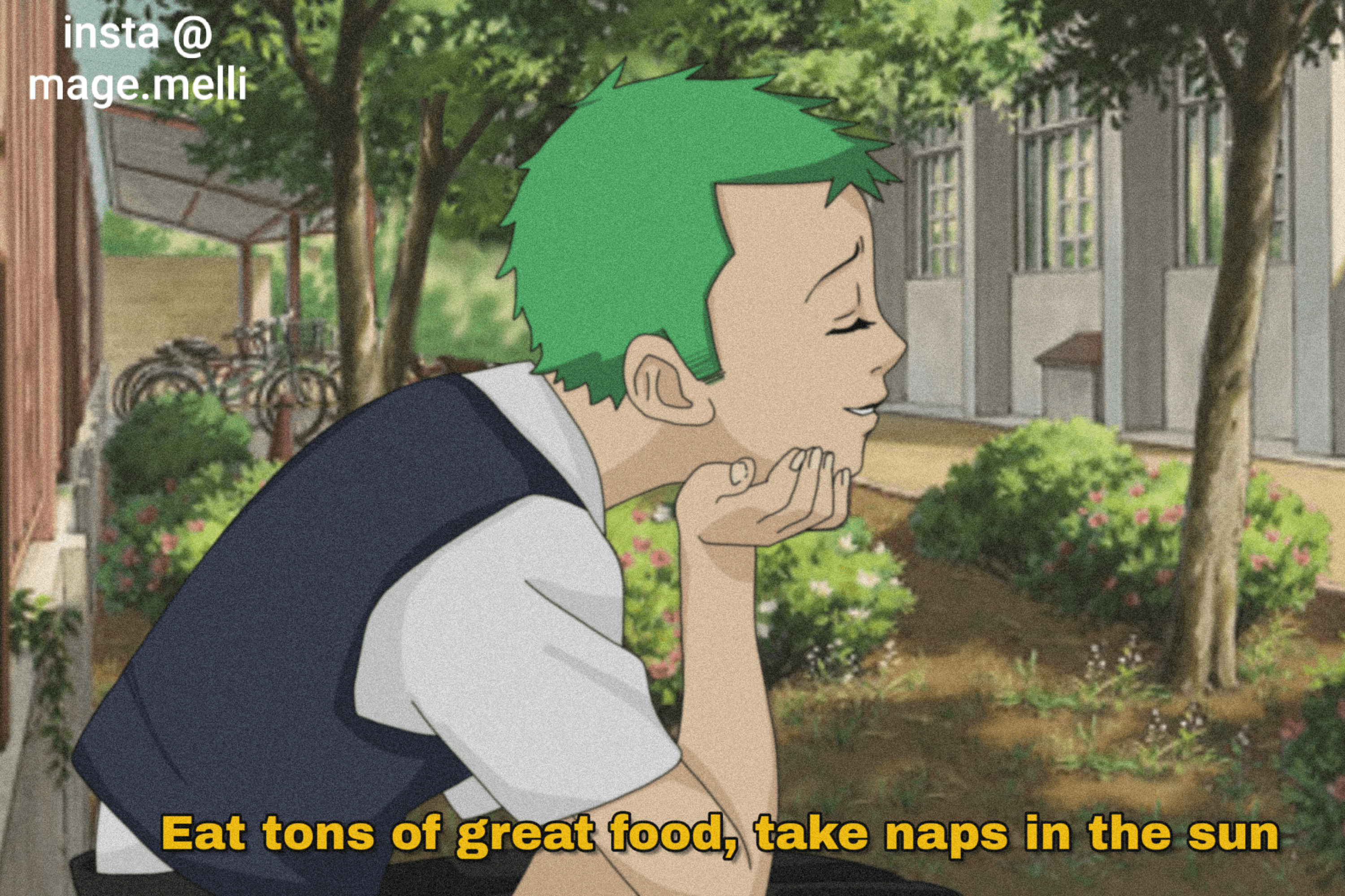 Zoro as from the Ghibli Movie "The Cat Returns" OnePiece