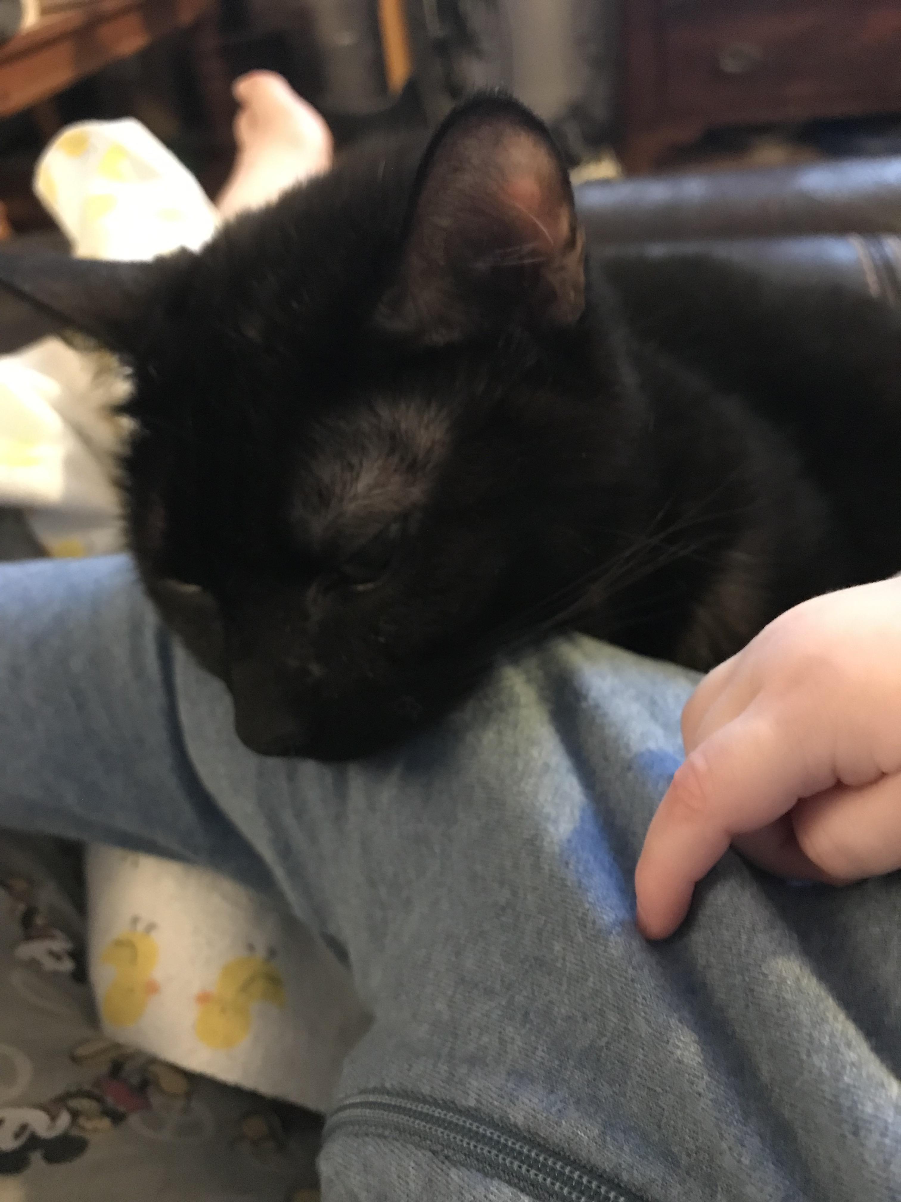 I think my cat likes my baby, lol r/aww