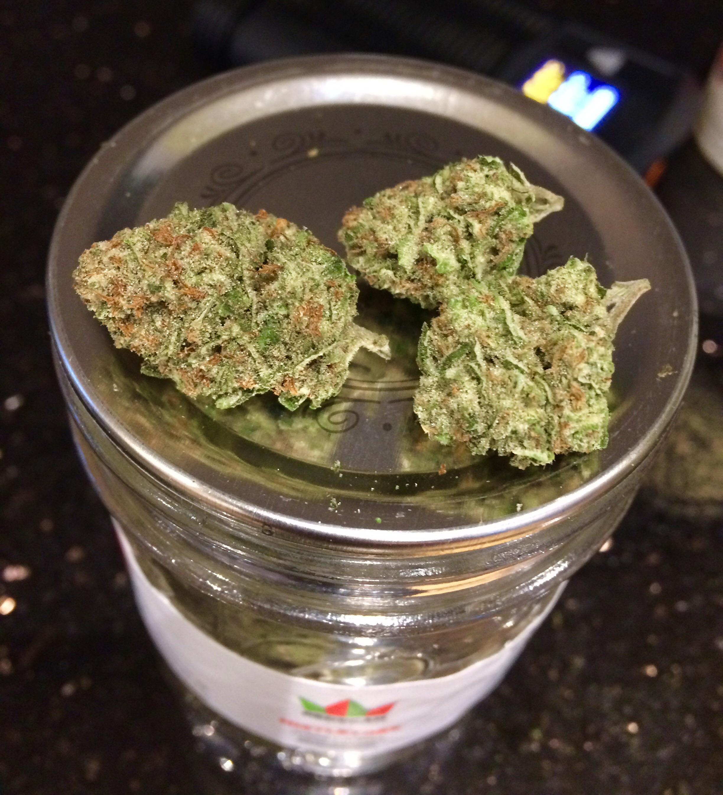 Redecan Mistletoke ,Sativa dominant hybrid , 22.1THC, CBD 0, pkg 11