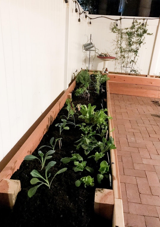 Raised Garden Beds Zone 10a Southern California r/gardening