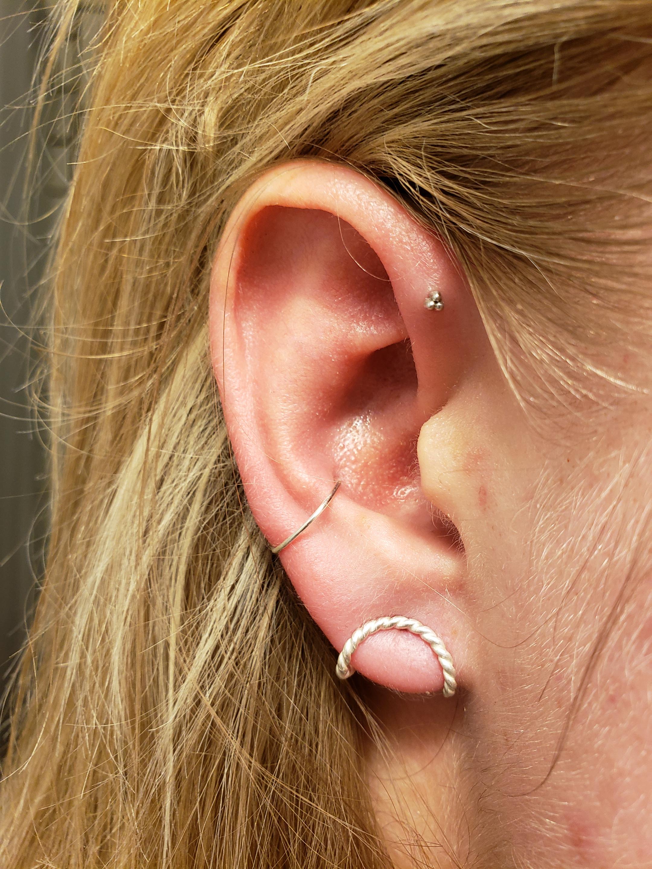 Finished setup! Monthold forward helix, nine month old conch and very