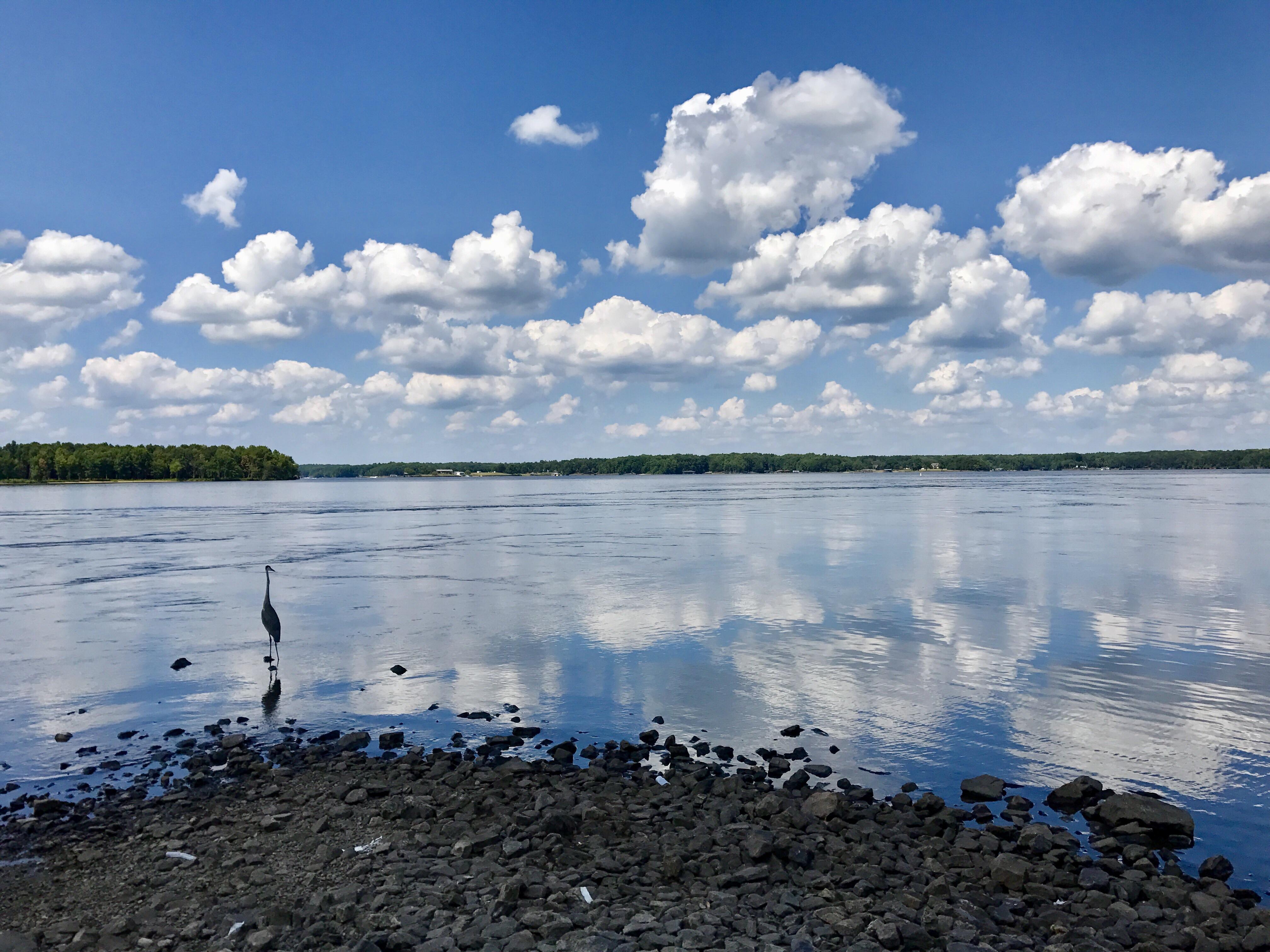 Lake Anna, Virginia. [4032x3024] OC r/EarthPorn