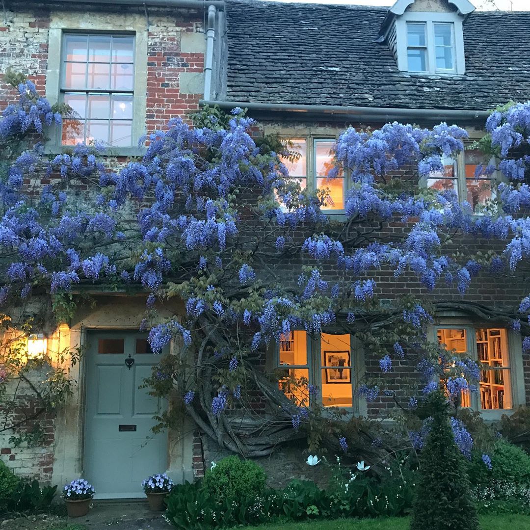 home with wisteria r/CozyPlaces