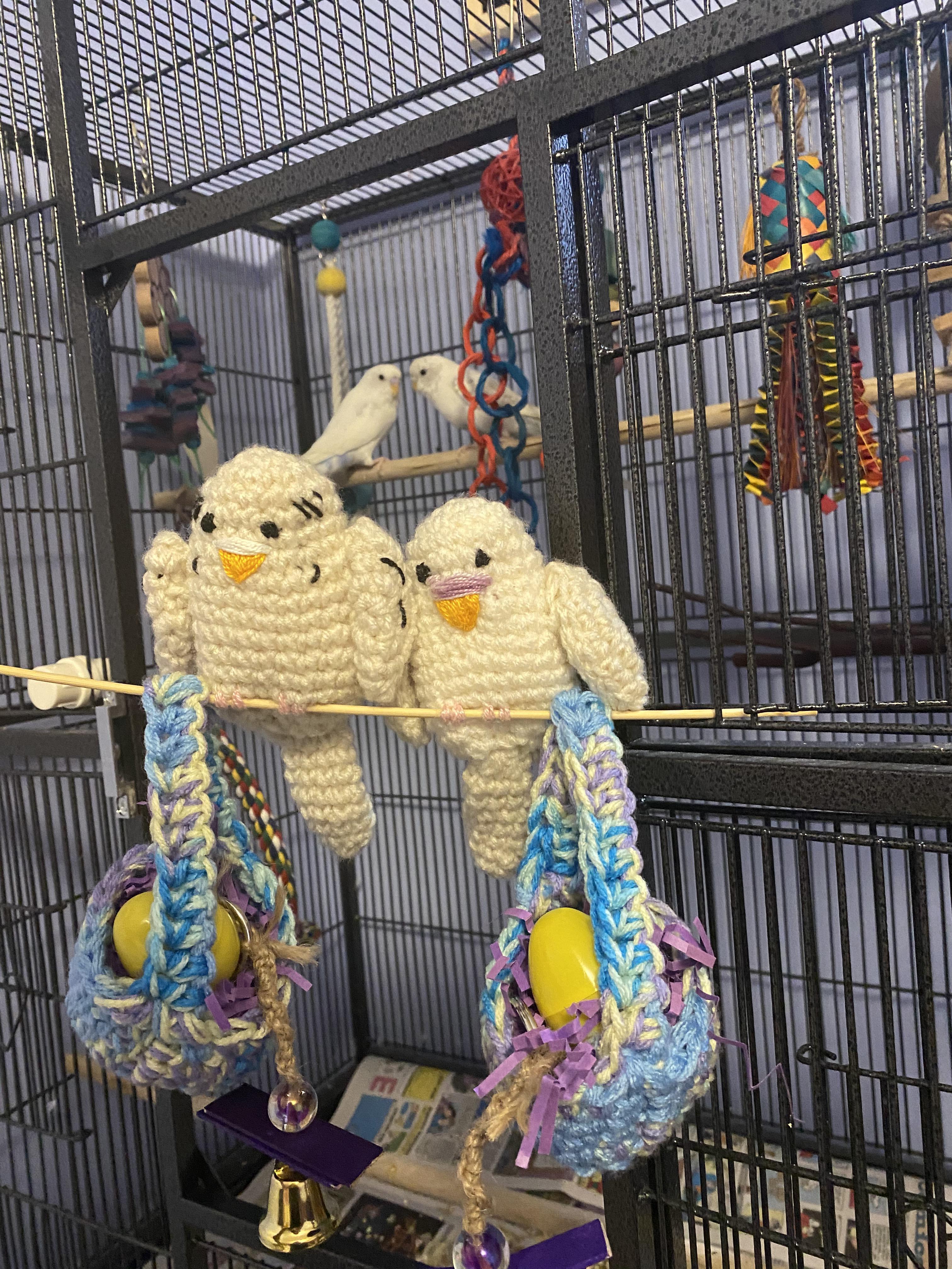 My cousin dropped off late easter gifts for the birds on my porch