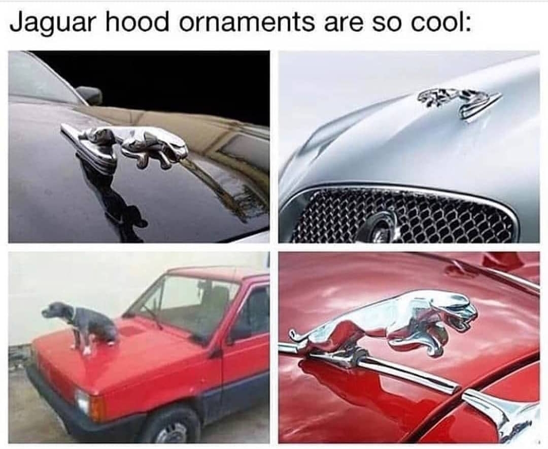 Jaguar hood ornaments are so cool! carmemes