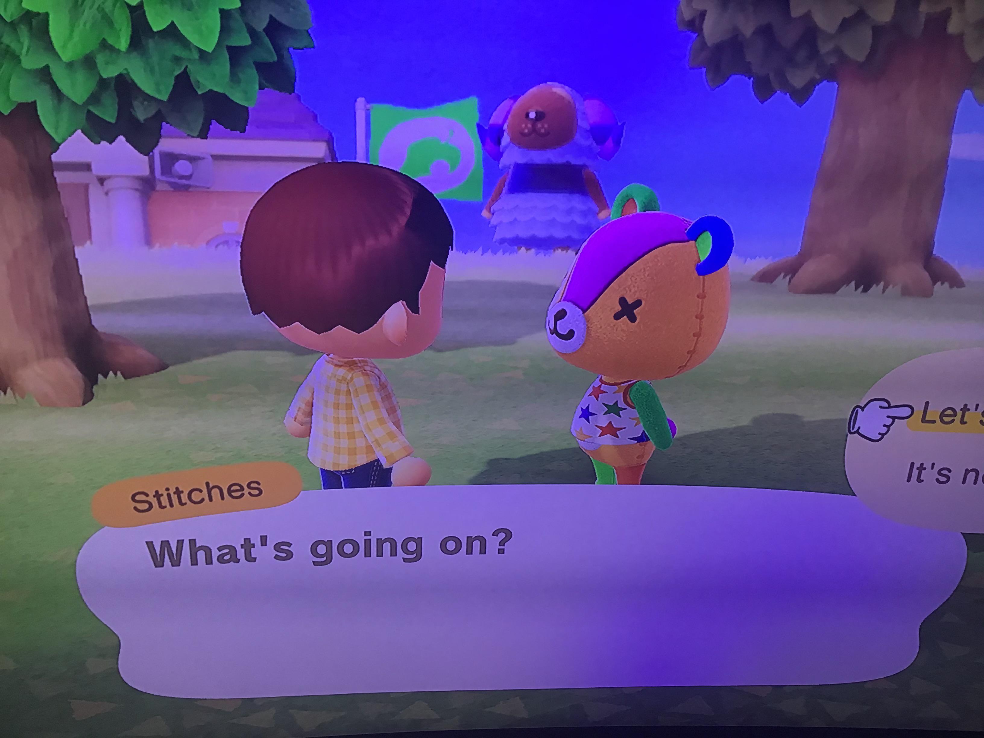 I finally have my dream villager! r/AnimalCrossing