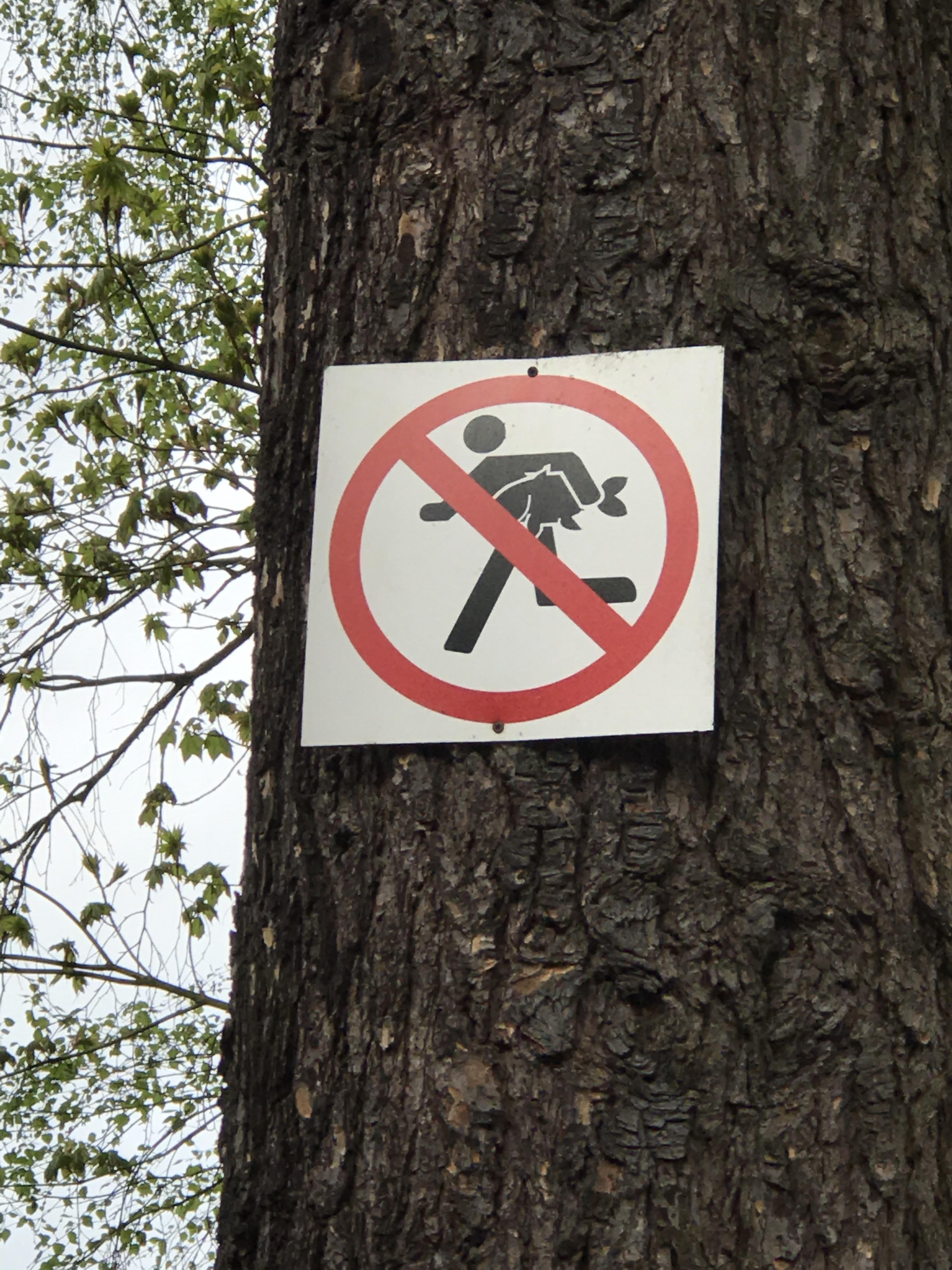 This "No Fishing" sign? At a lake near me. mildlyinteresting