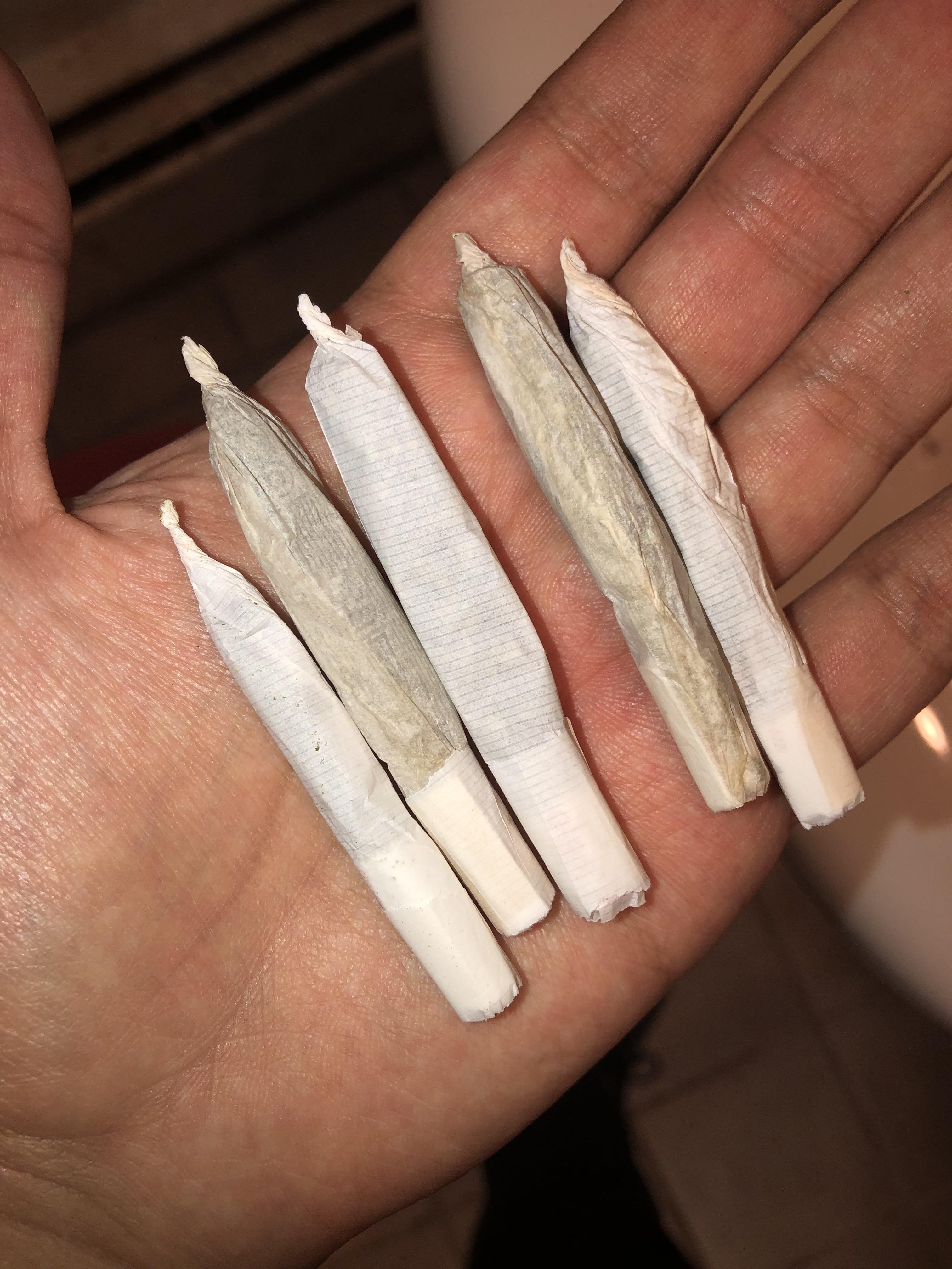 My first 5 joints ever rolled r/saplings