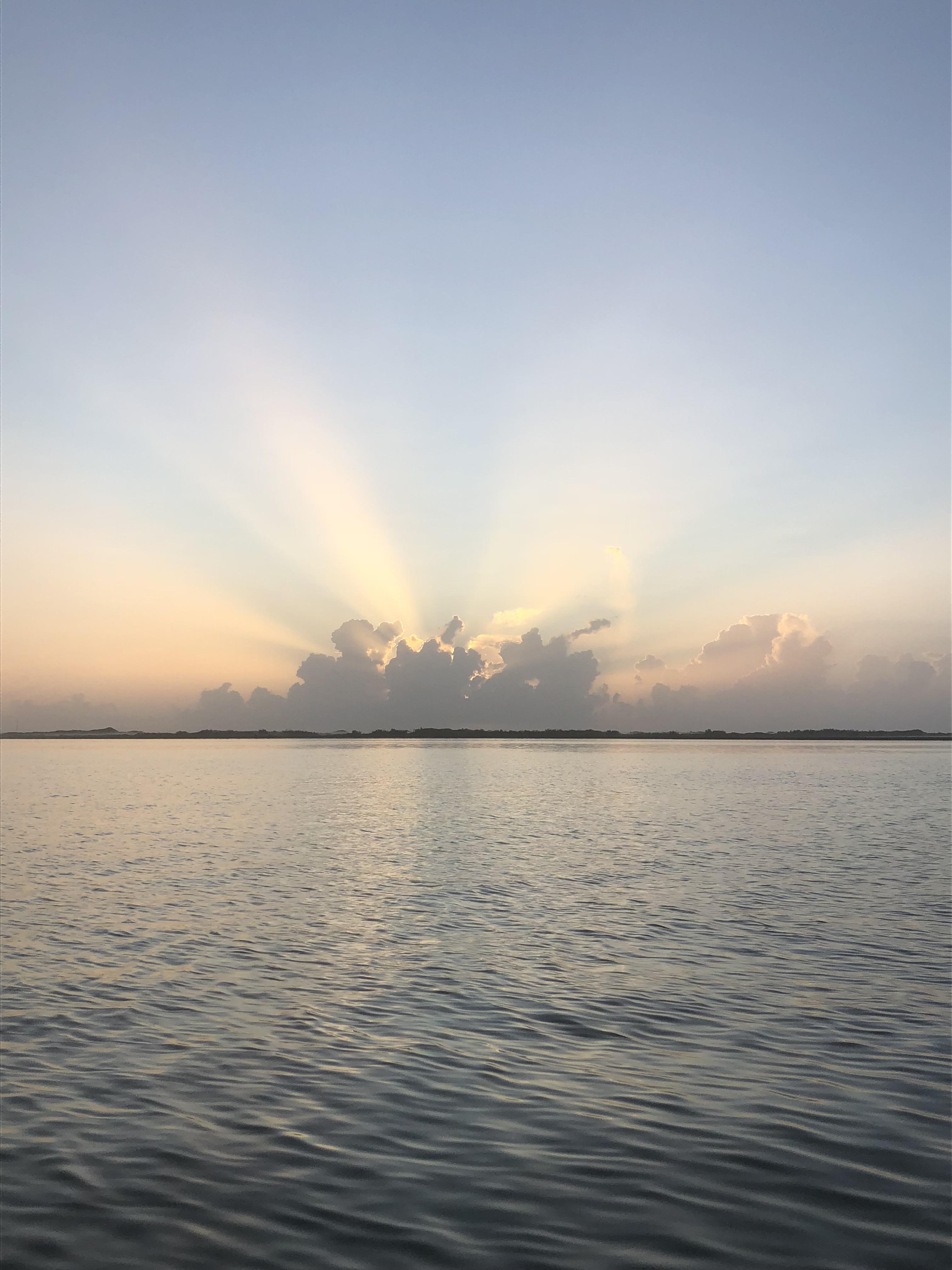 Laguna Madre sunrise. r/texas