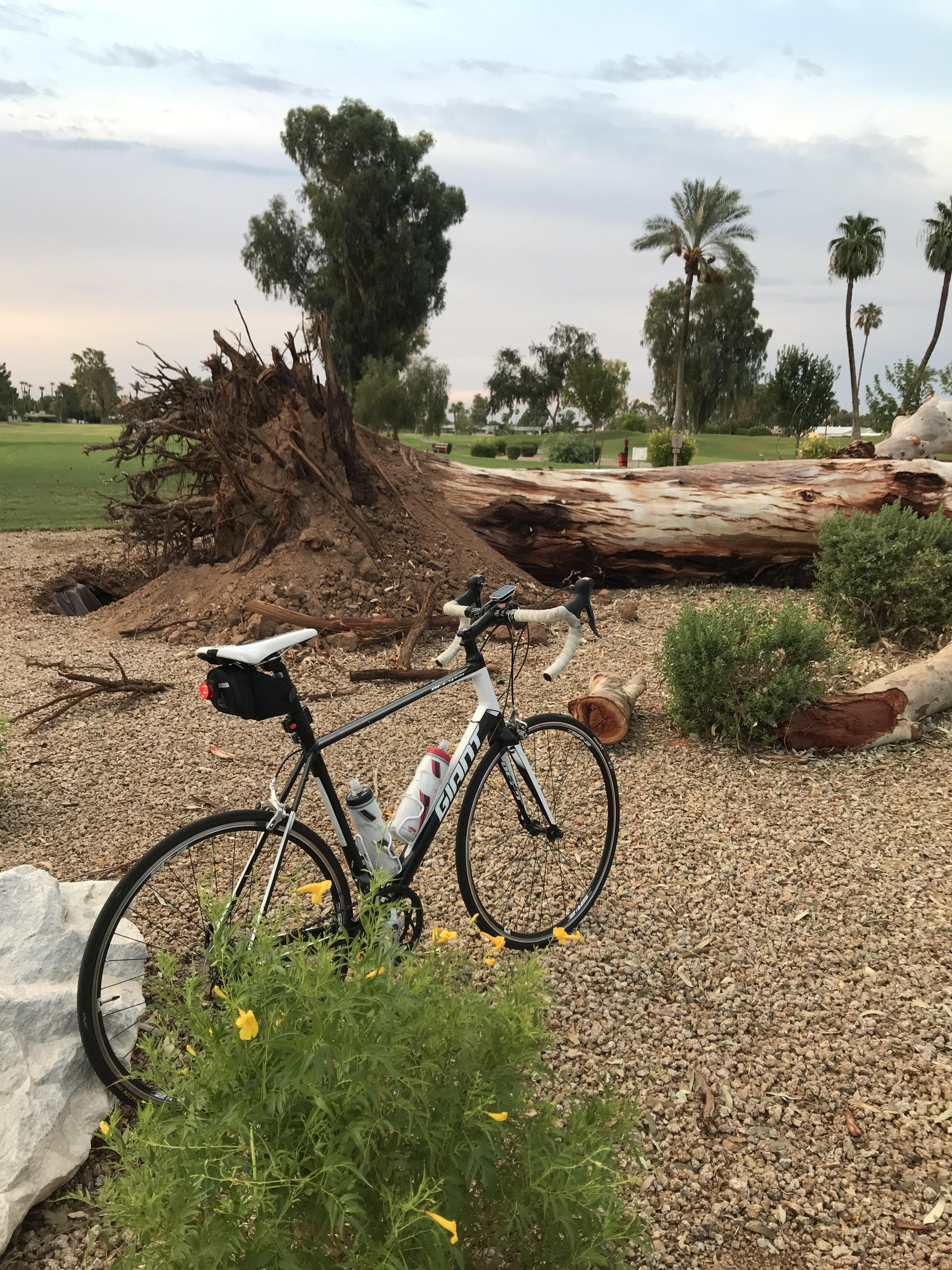 Events In Arizona Summer 2024 Arizona Summer Monsoons...😳🌨💨 bicycling