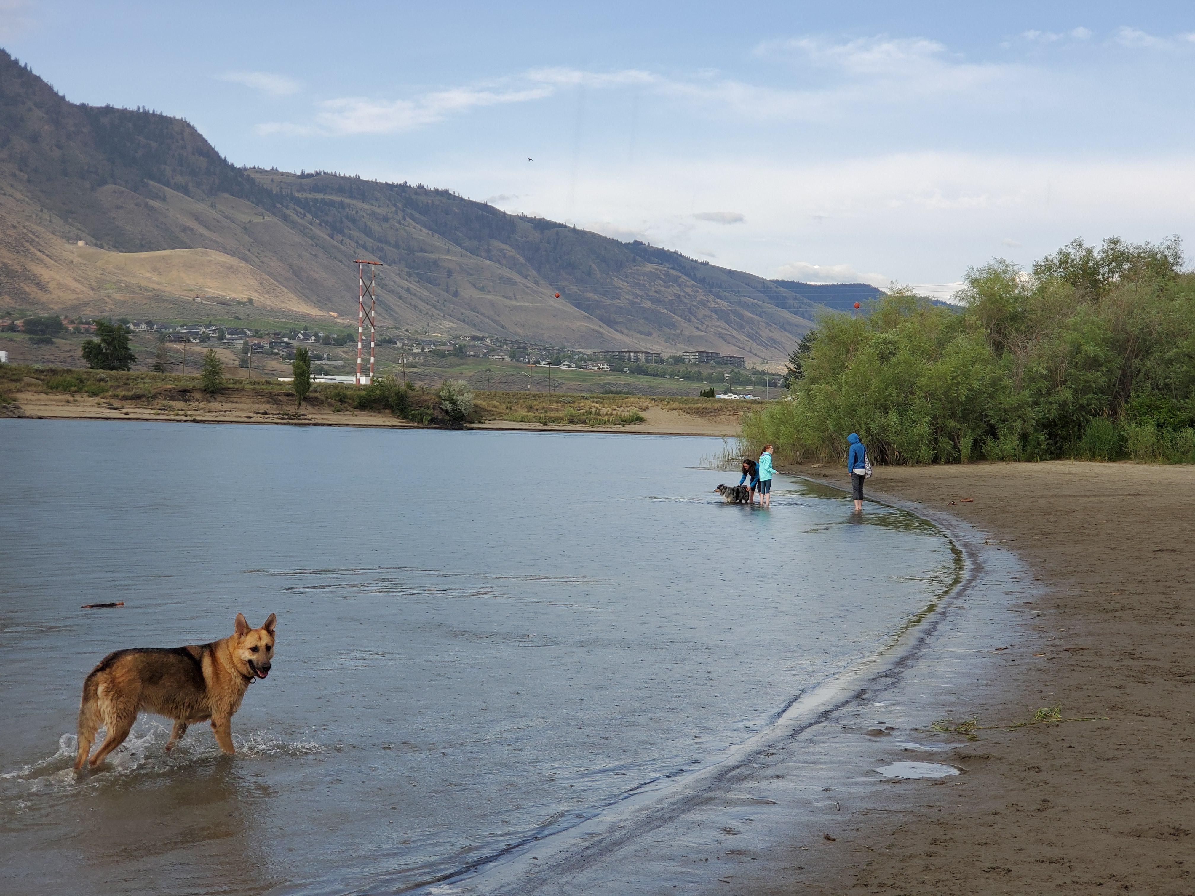 Kamloops Dog Parks all you need to know! r/Kamloops