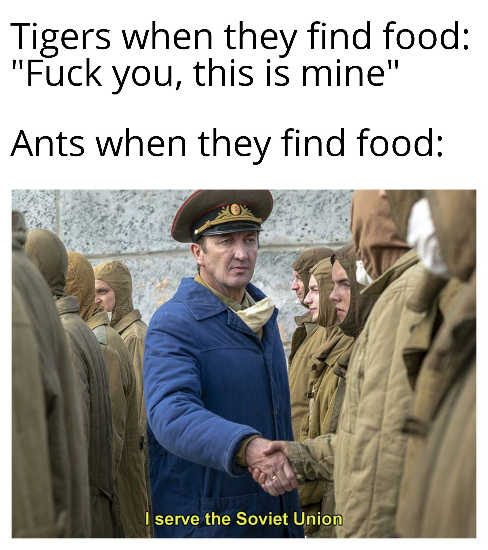 They share everything memes