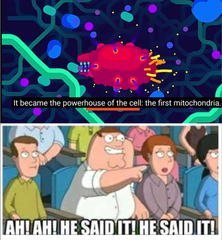 in a nut memes
