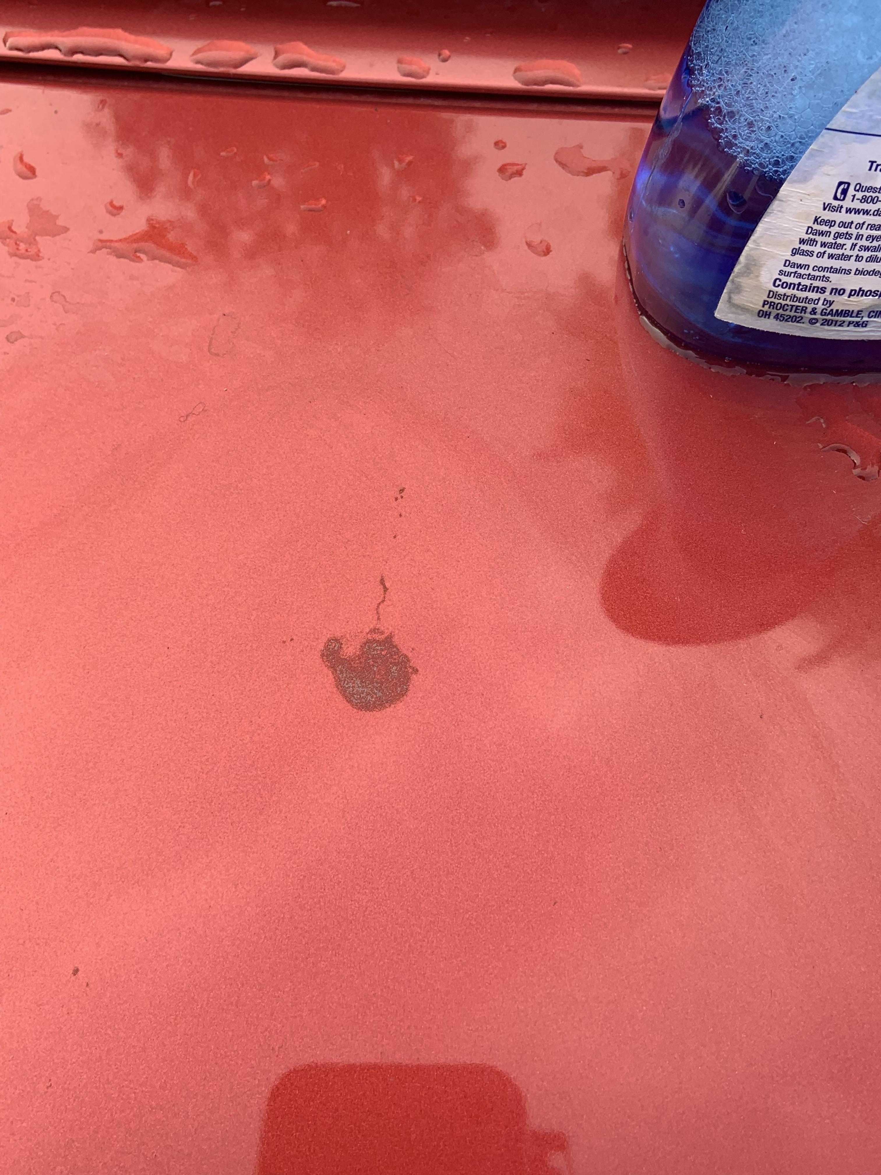 Any suggestions on how fix this paint blemish r/Cartalk