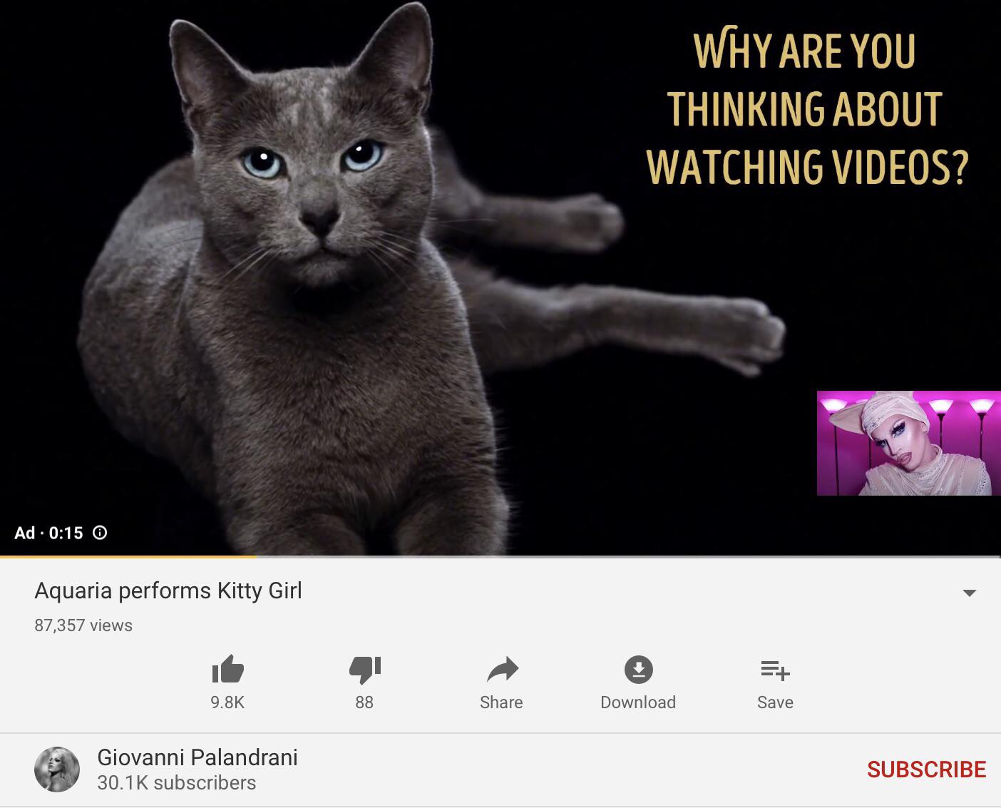 A beautifully timed cat food ad r/rupaulsdragrace