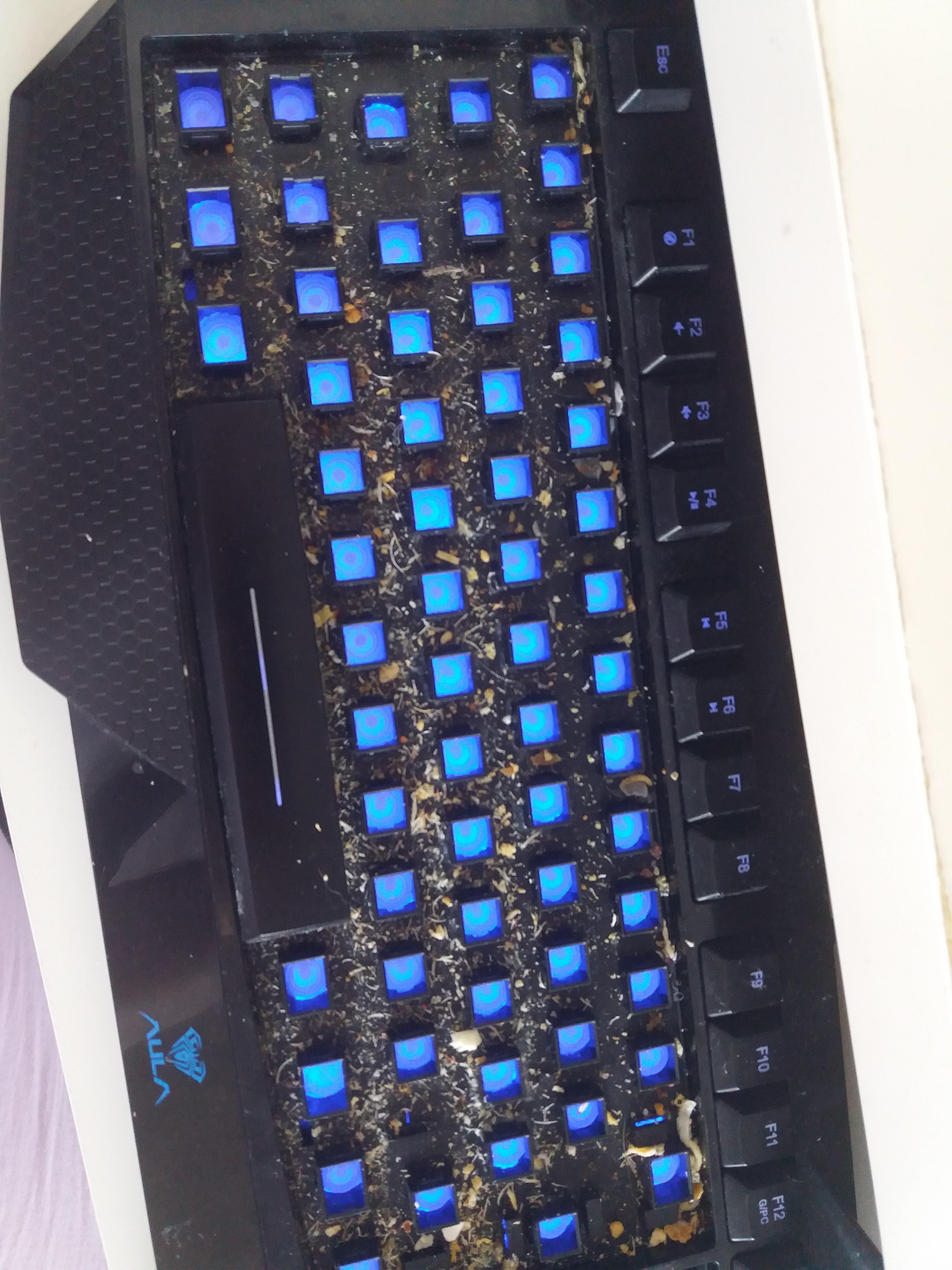 I wondered why my keys were sticking... r/pcmasterrace