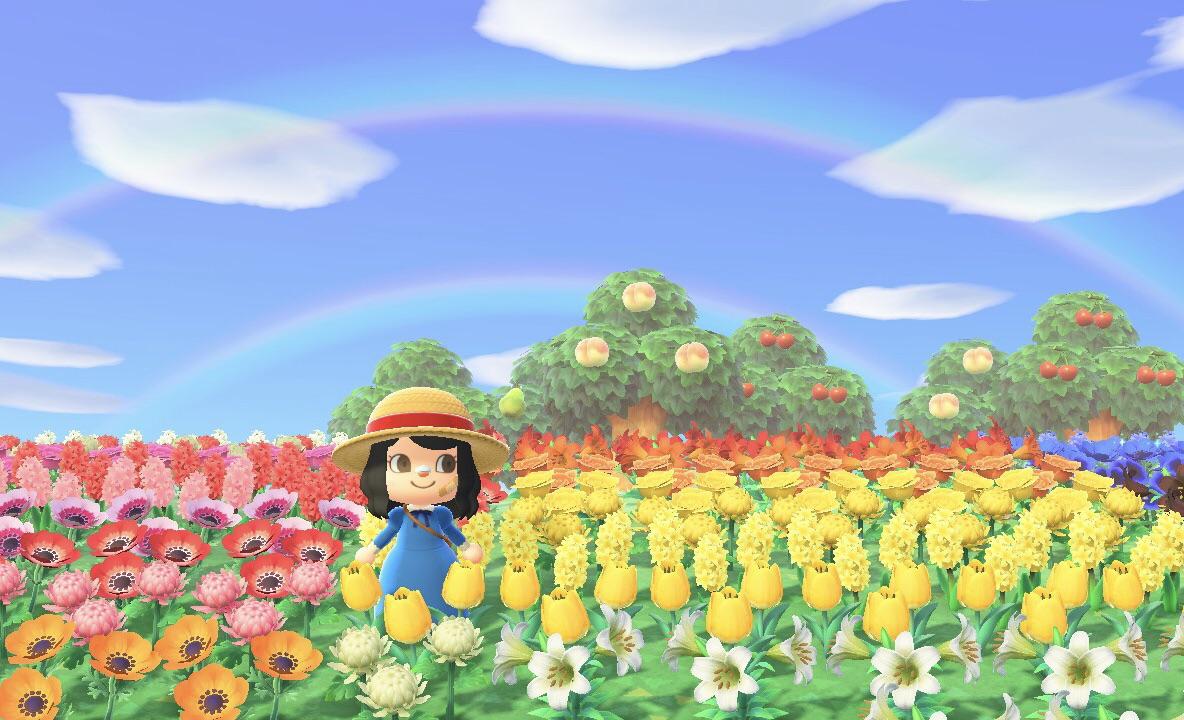 My first time seeing a double rainbow in Animal Crossing r/AnimalCrossing