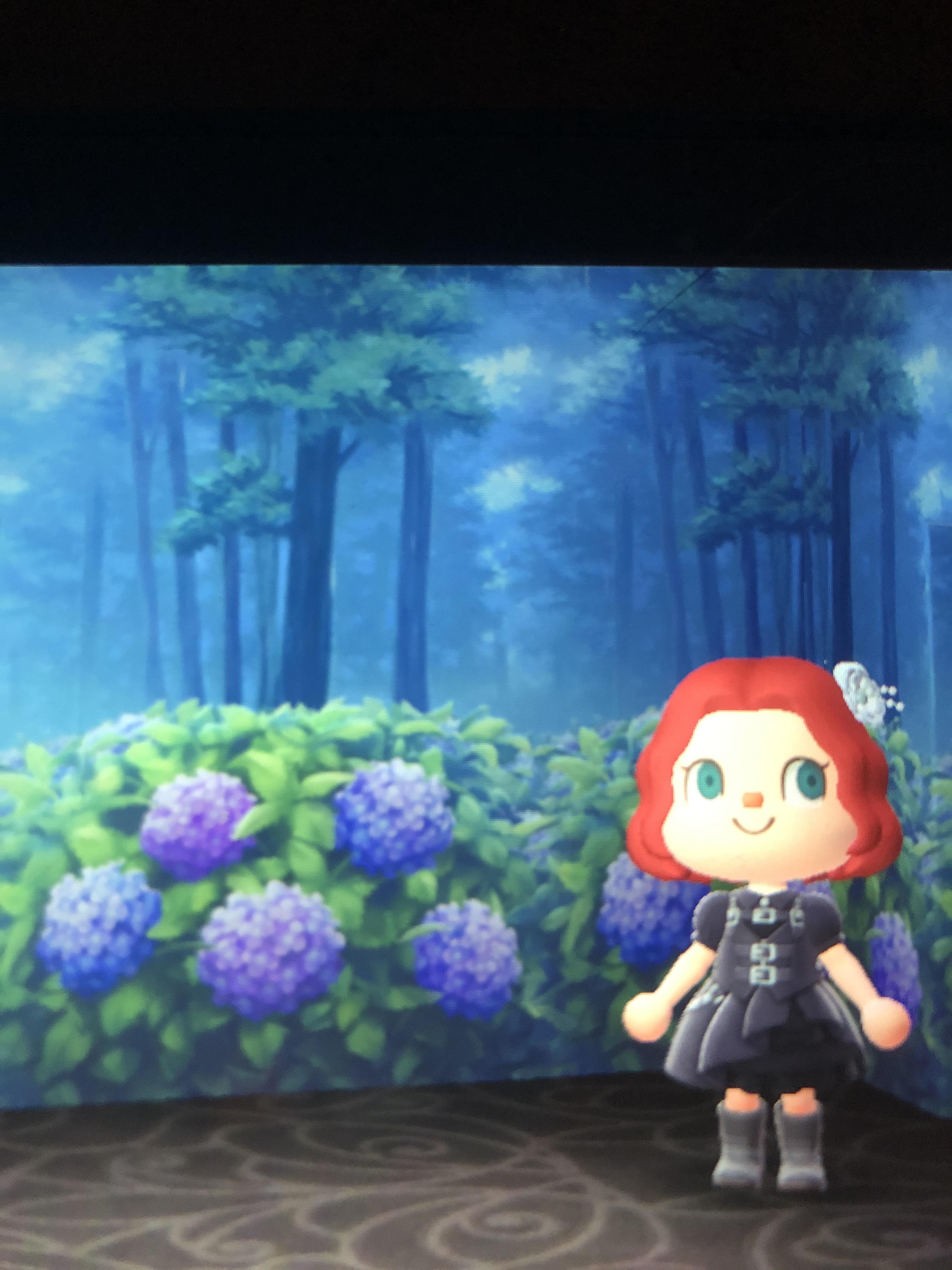 Just got this. Misty Garden wallpaper is beautiful! r/AnimalCrossing