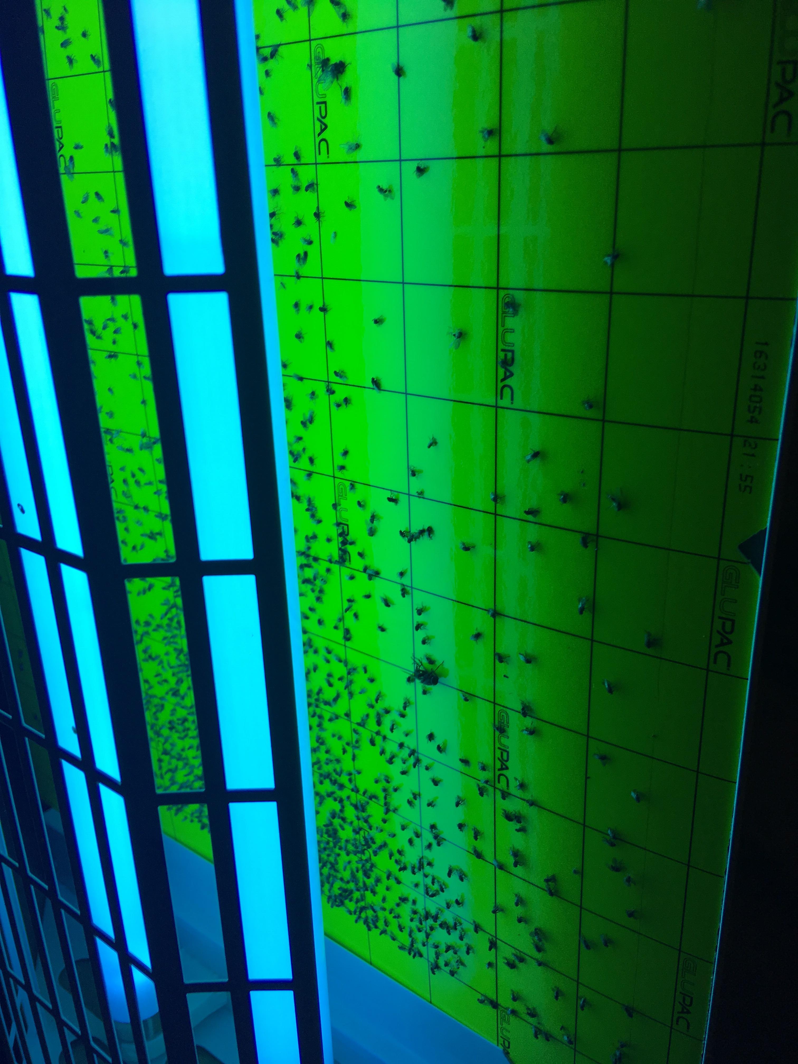 50+ Sensational Bright Light Facts You Will Need in School