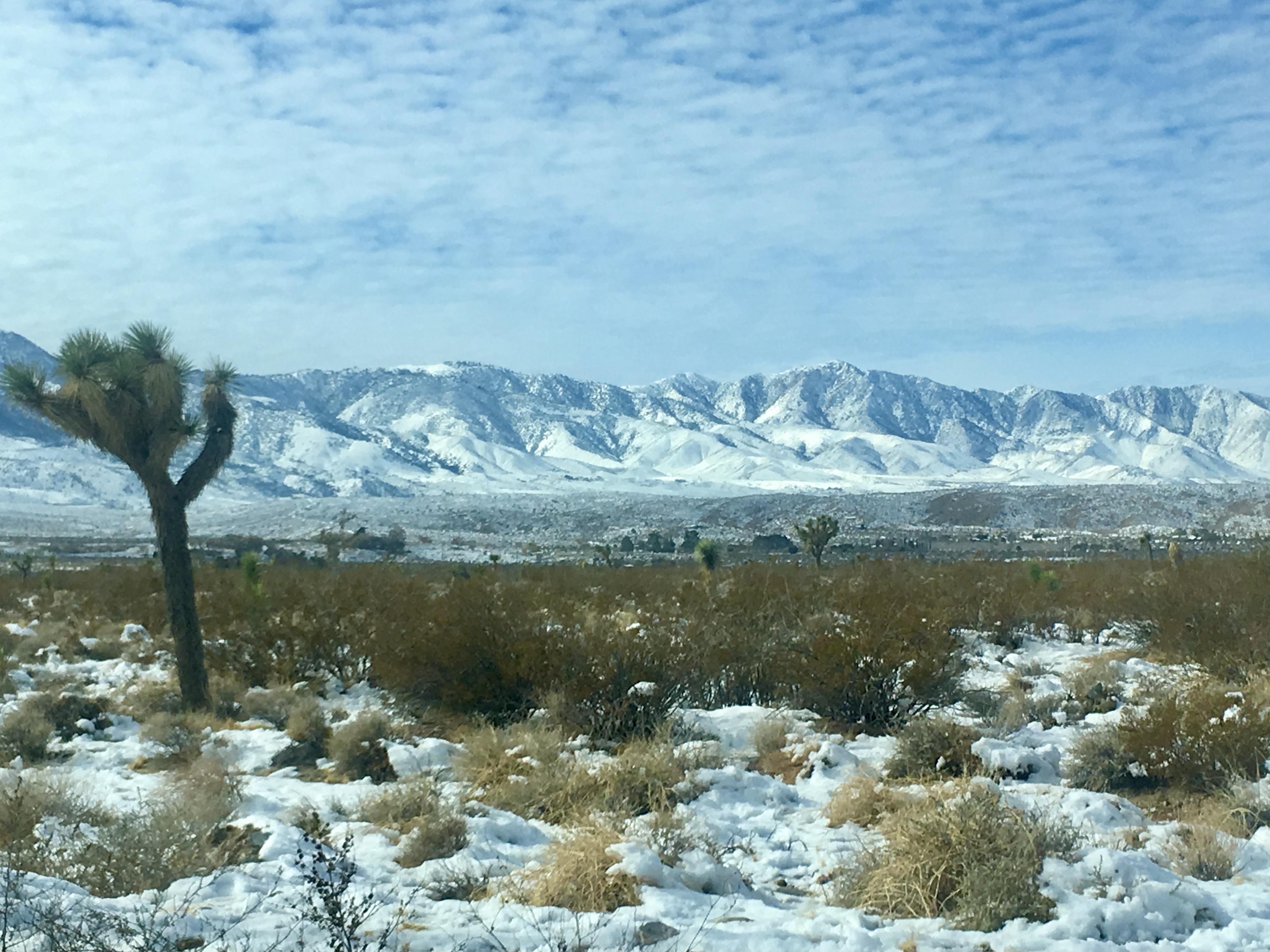 Snow in the high desert in California r/weather