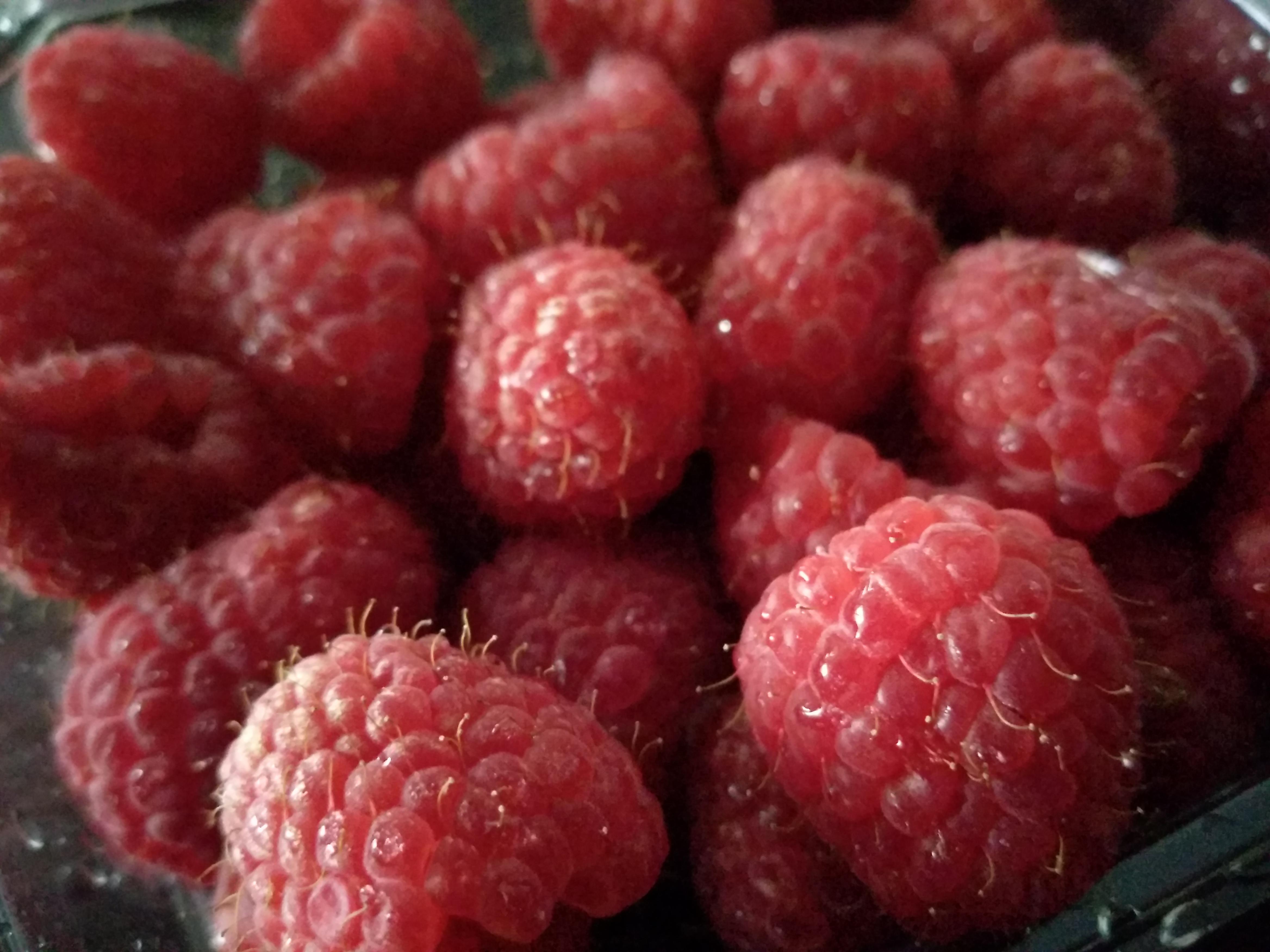 Raspberries for breakfast r/NoRules