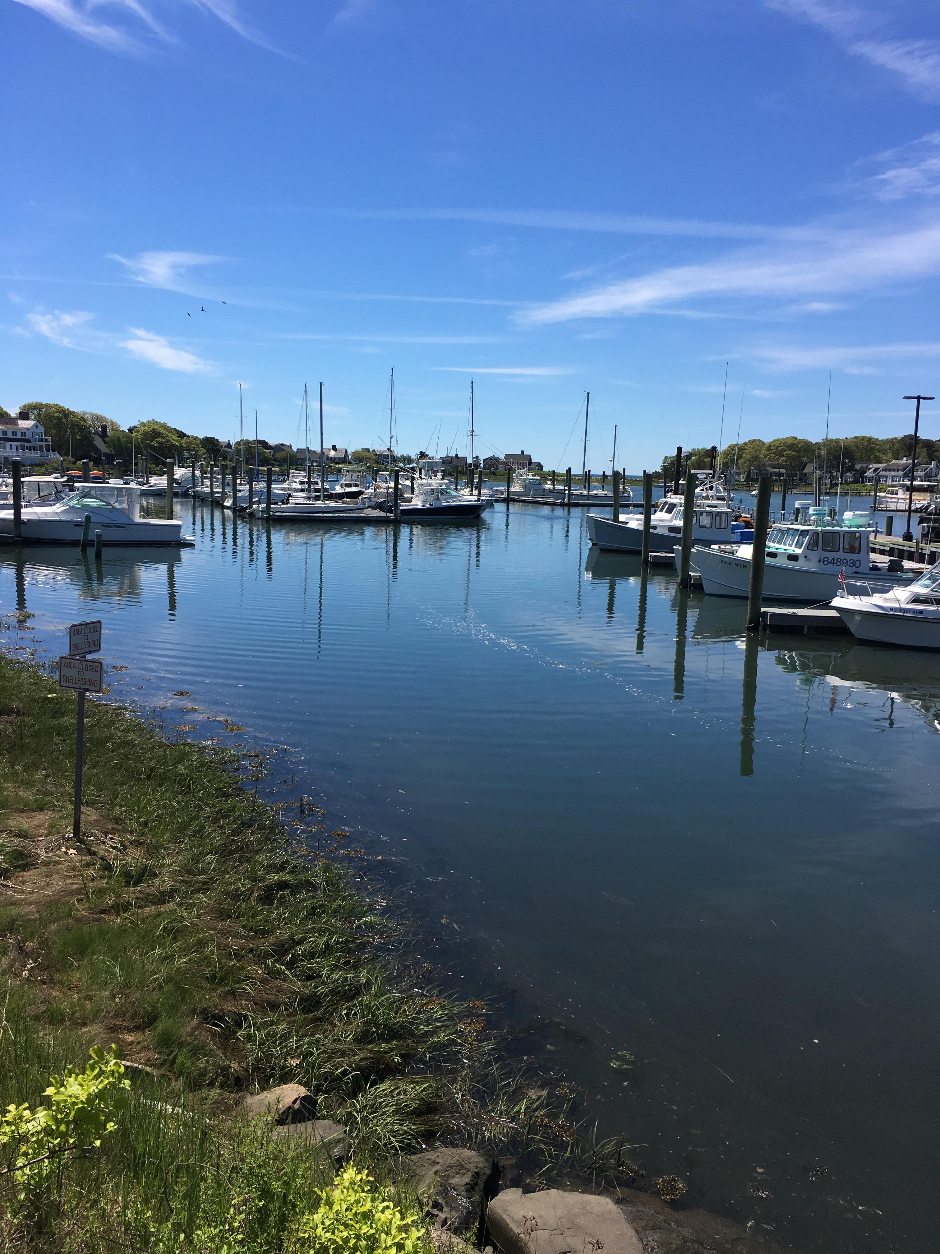 Allen's Harbor Harwich Port r/CapeCod