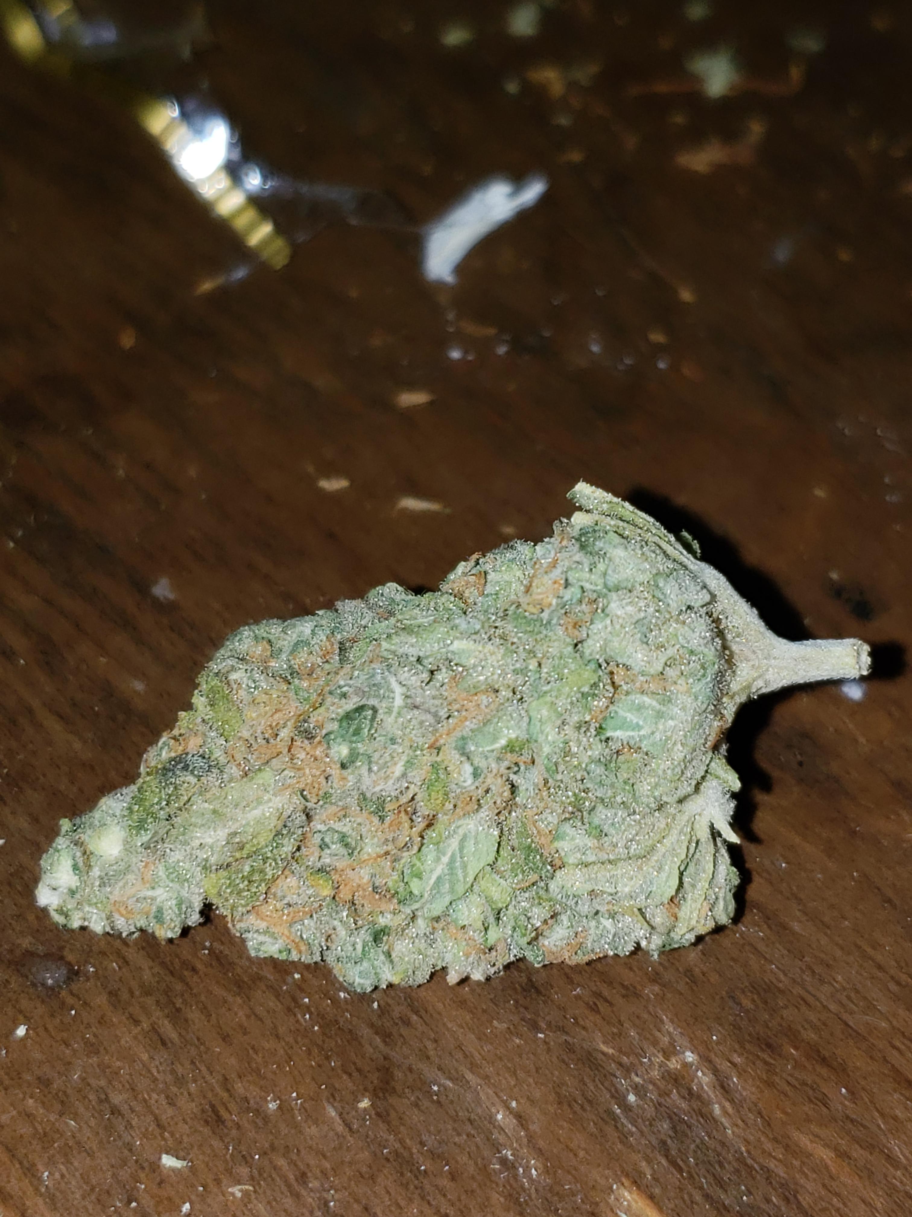 Dispensary weed from Canada trees