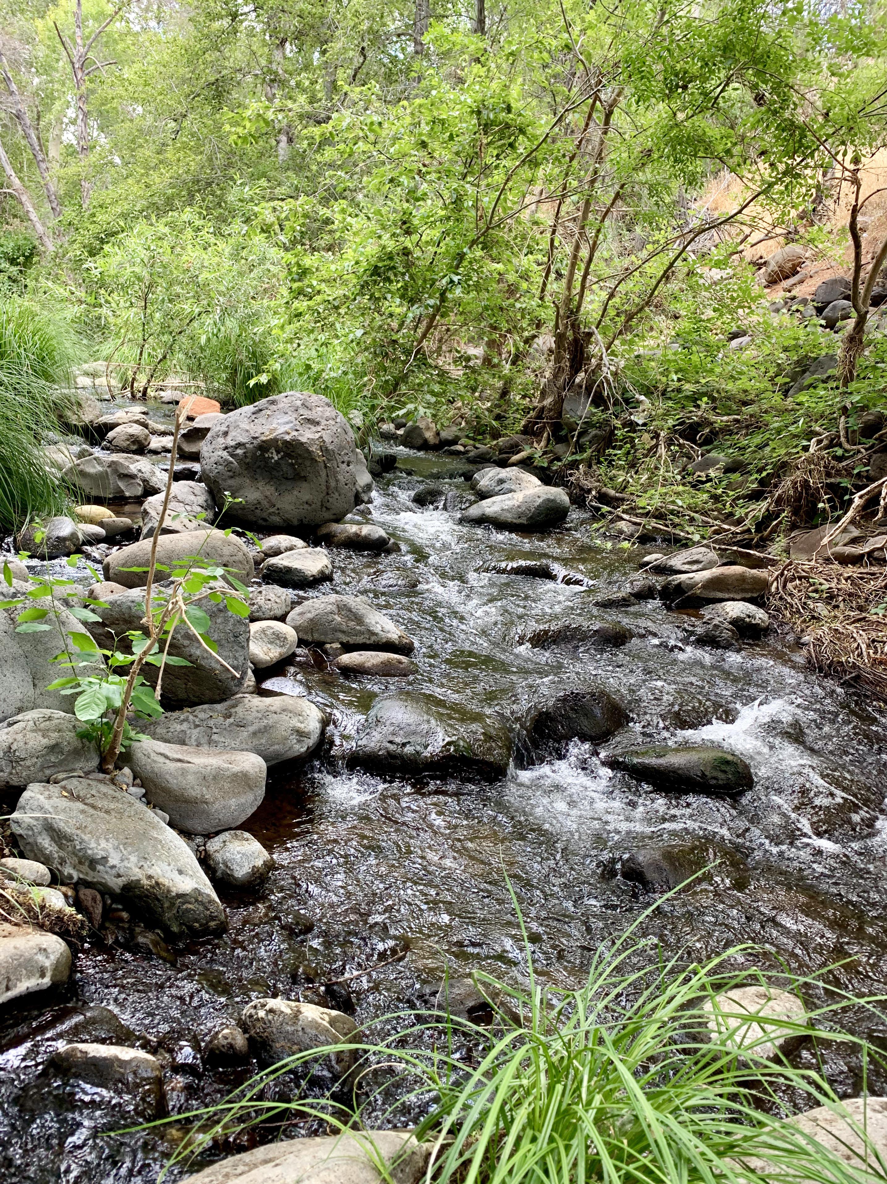 Wet Beaver Creek r/arizona