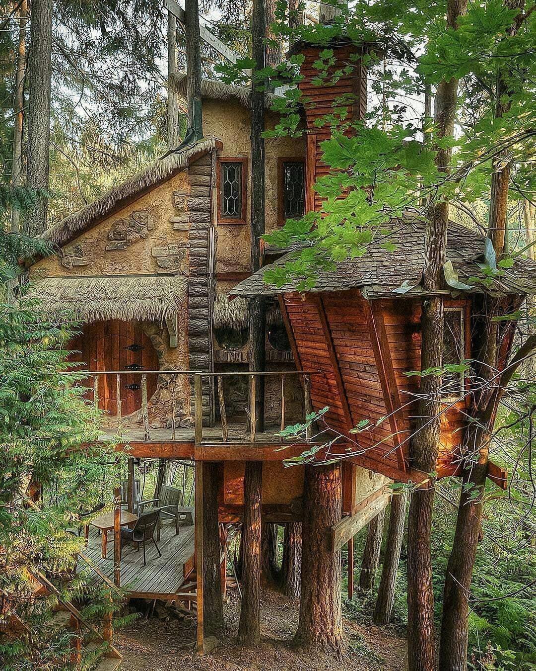 Treehouse cottage in Seattle, Washington r/CozyPlaces