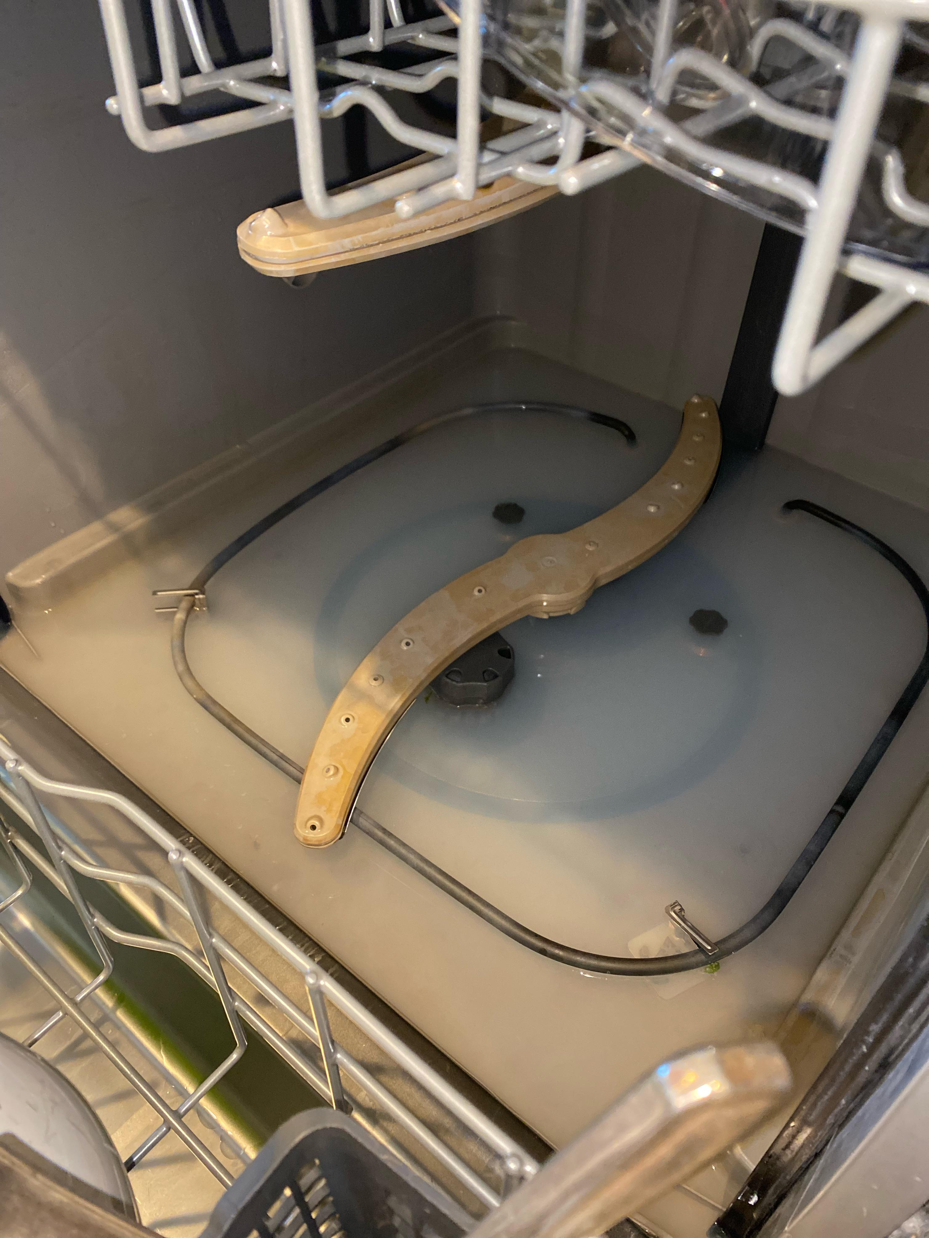 My dishwasher stopped draining water, and now we have a base of water