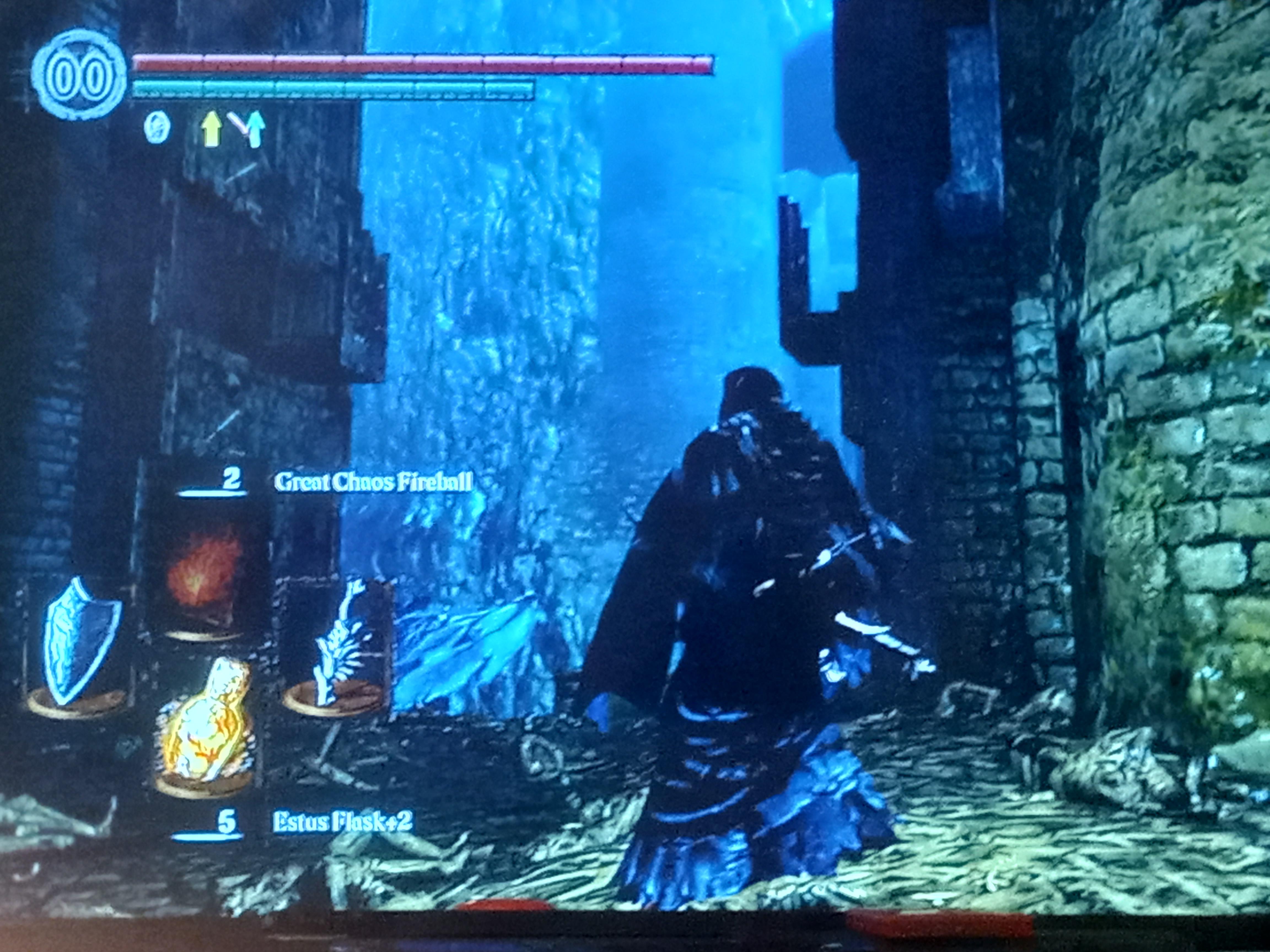 Navigating New Londo Ruins and I just lowered the water level. Does